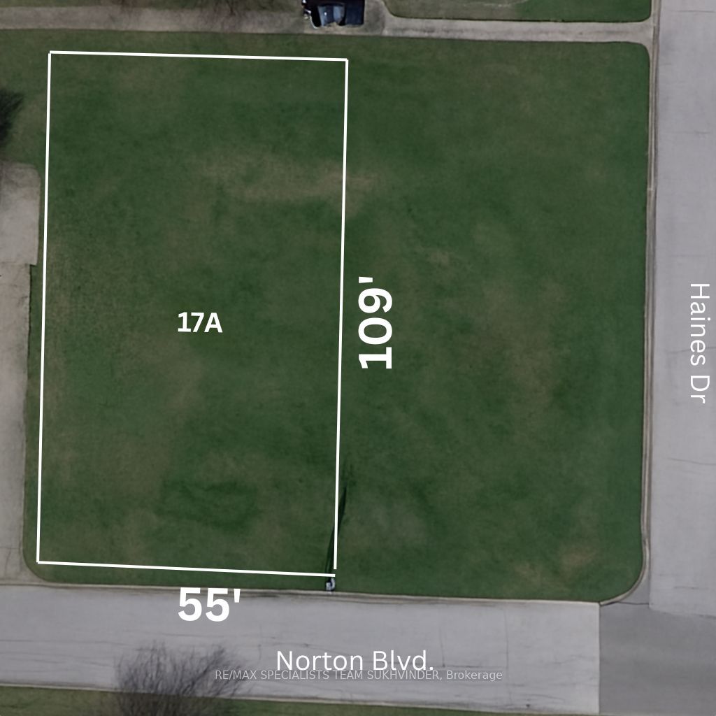 17 Norton Boulevard Property Photo 5