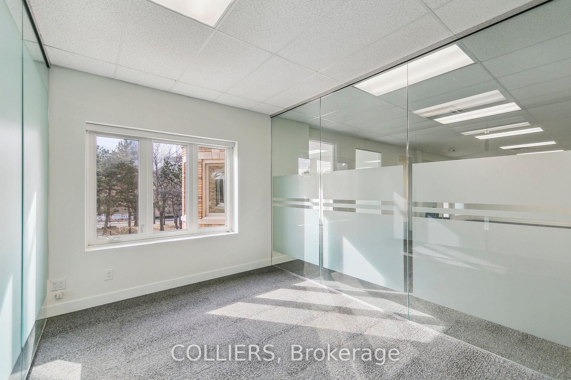 4284 Village Centre Ct Property Photo 10