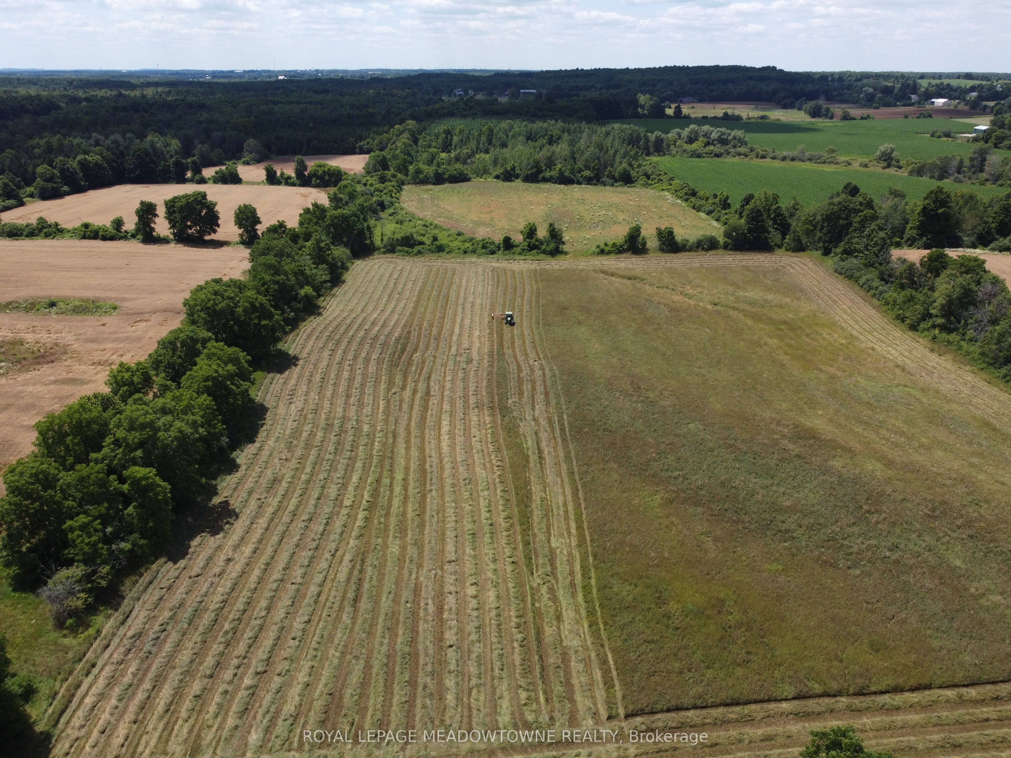 11080 First Nassagaweya Line Property Photo 6