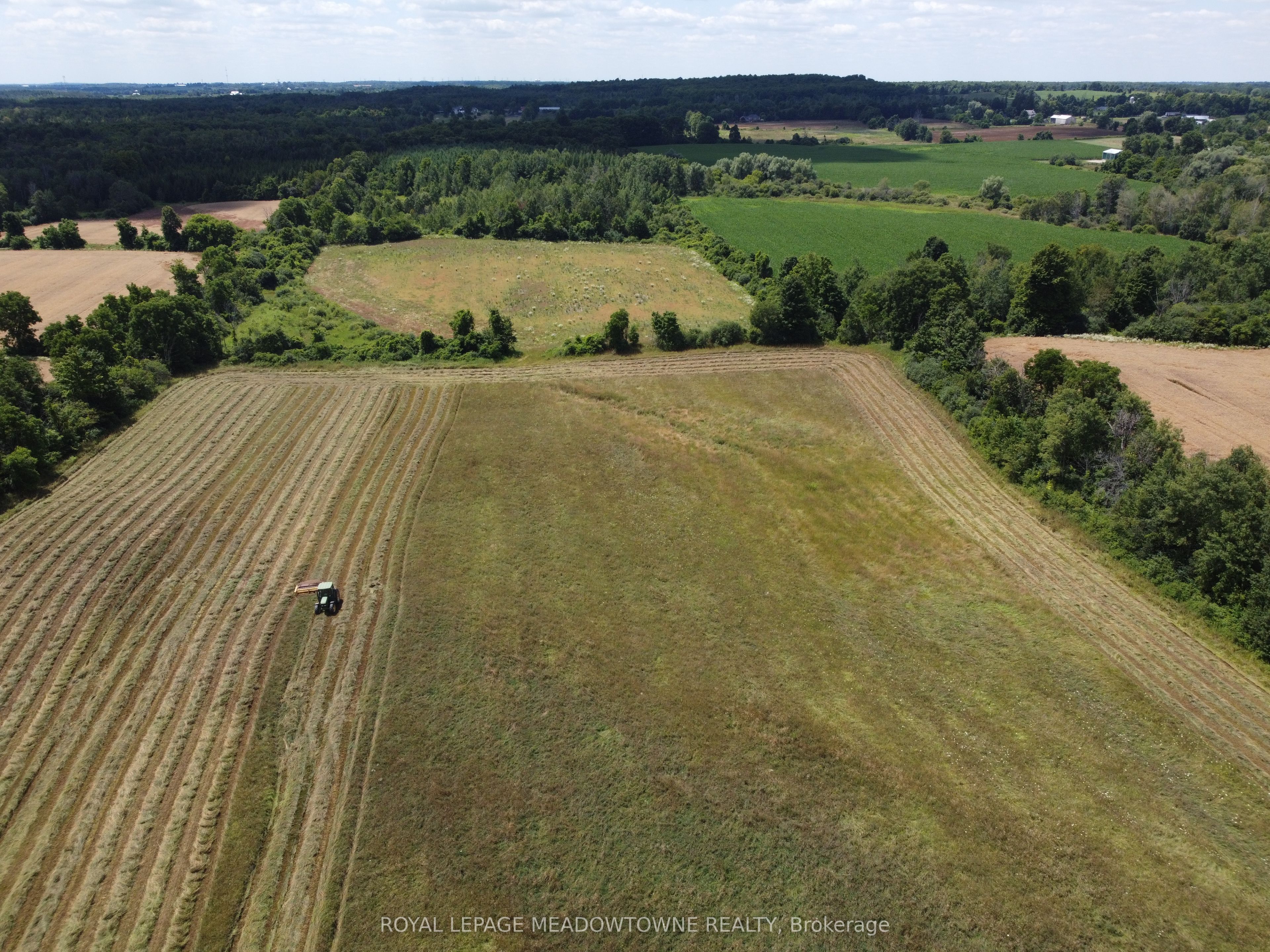 11080 First Nassagaweya Line Property Photo 7