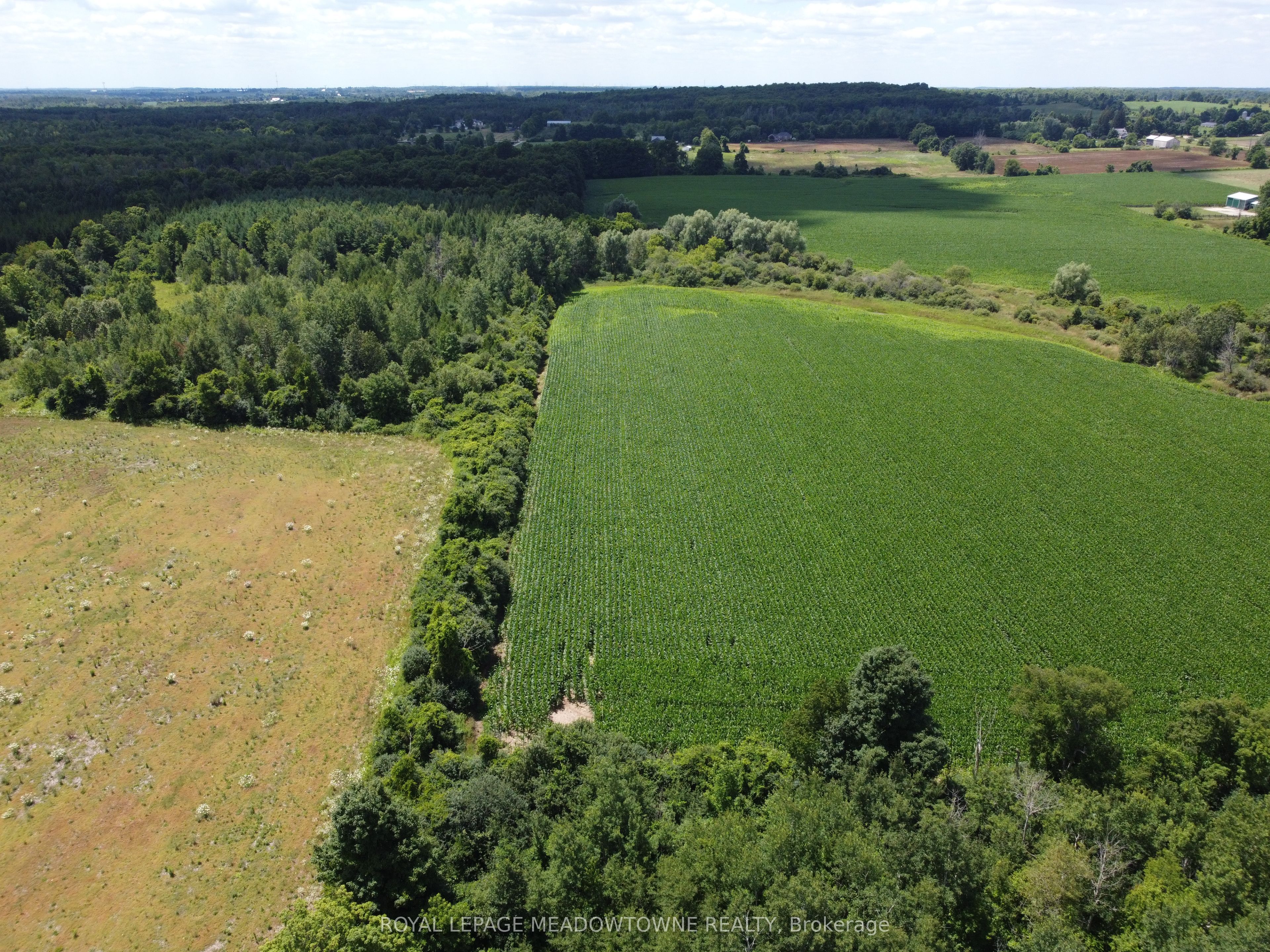 11080 First Nassagaweya Line Property Photo 8