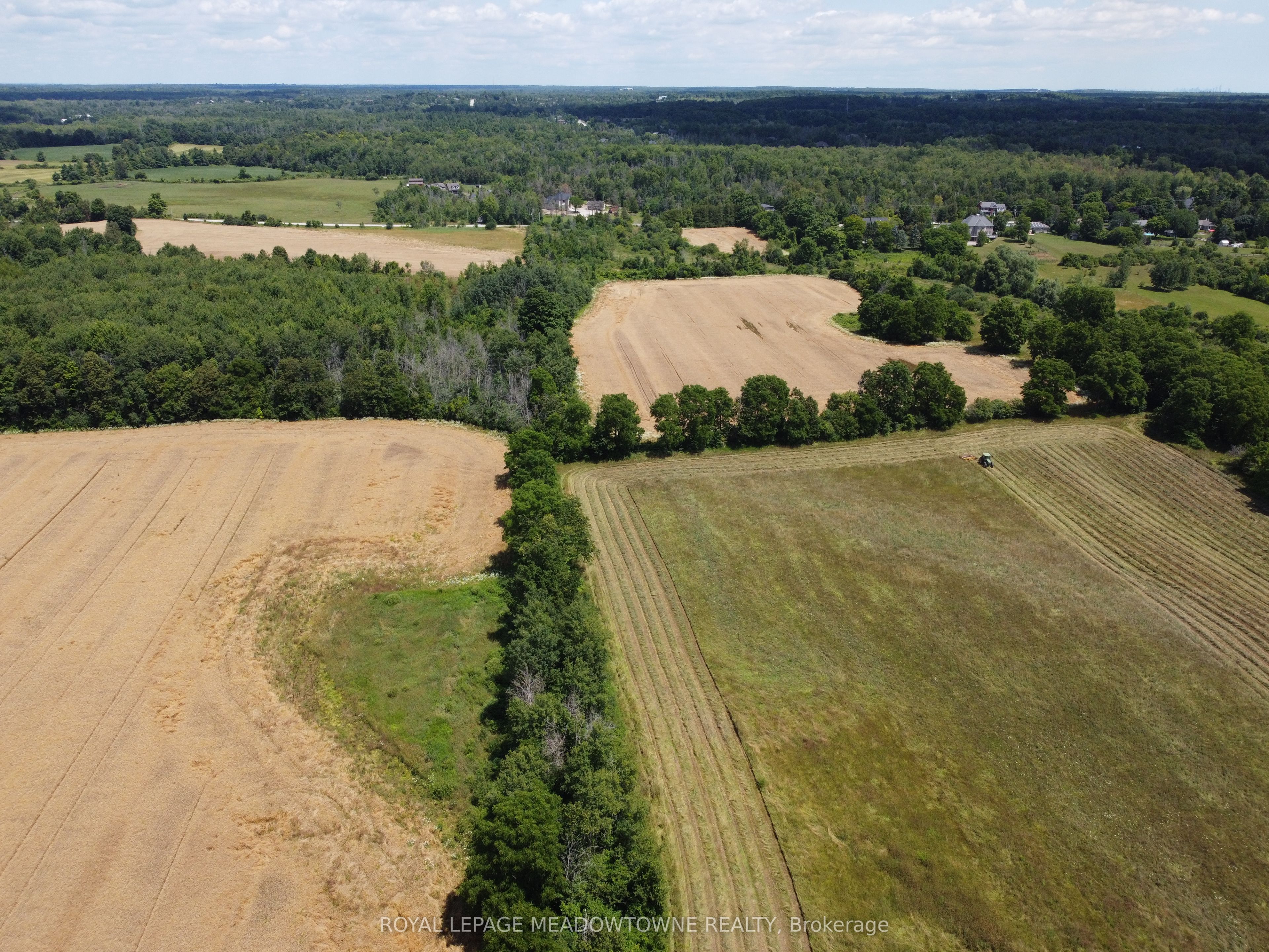 11080 First Nassagaweya Line Property Photo 9
