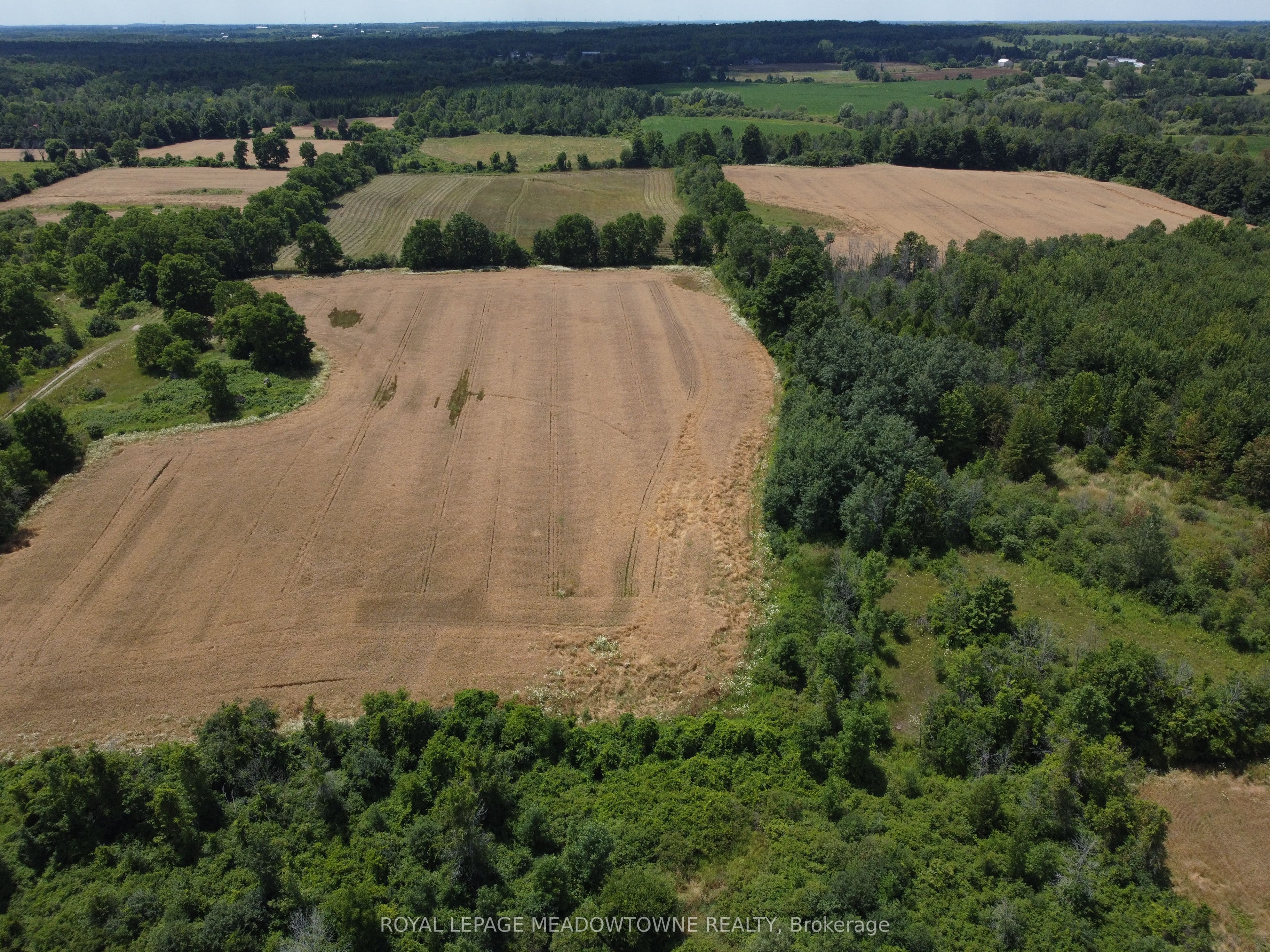 11080 First Nassagaweya Line Property Photo 11