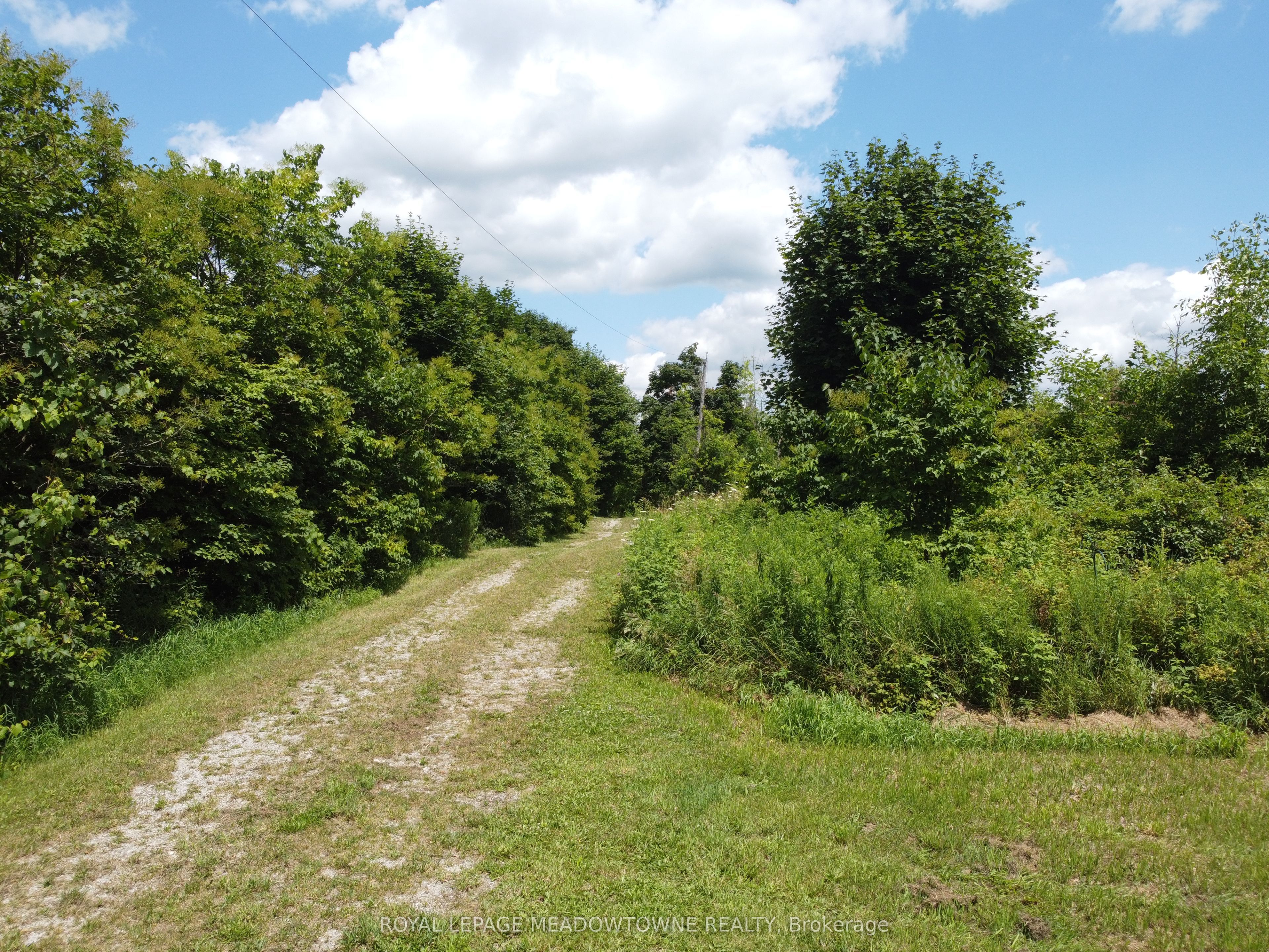 11080 First Nassagaweya Line Property Photo 12