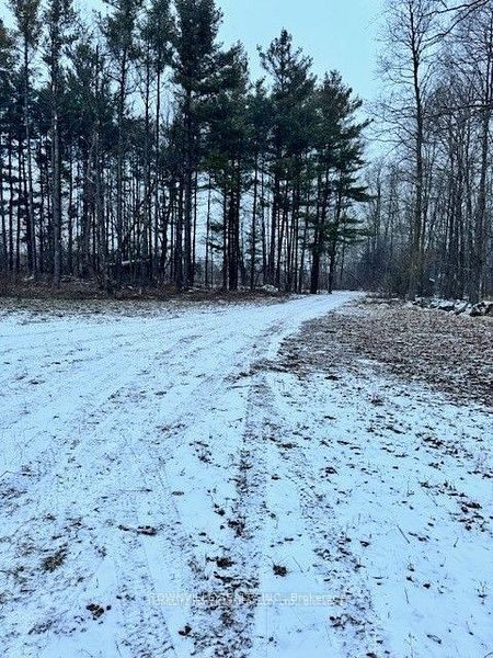 13716 4th Line Nassagaweya Line Property Photo 2