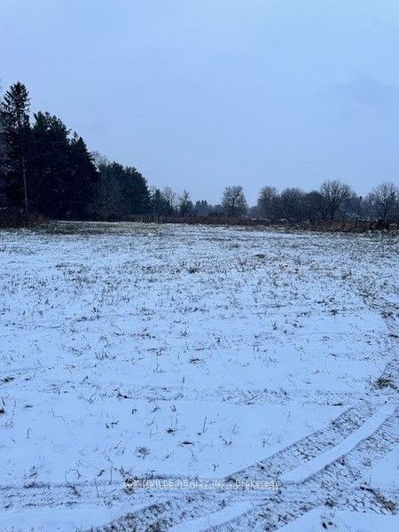 13716 4th Line Nassagaweya Line Property Photo 16