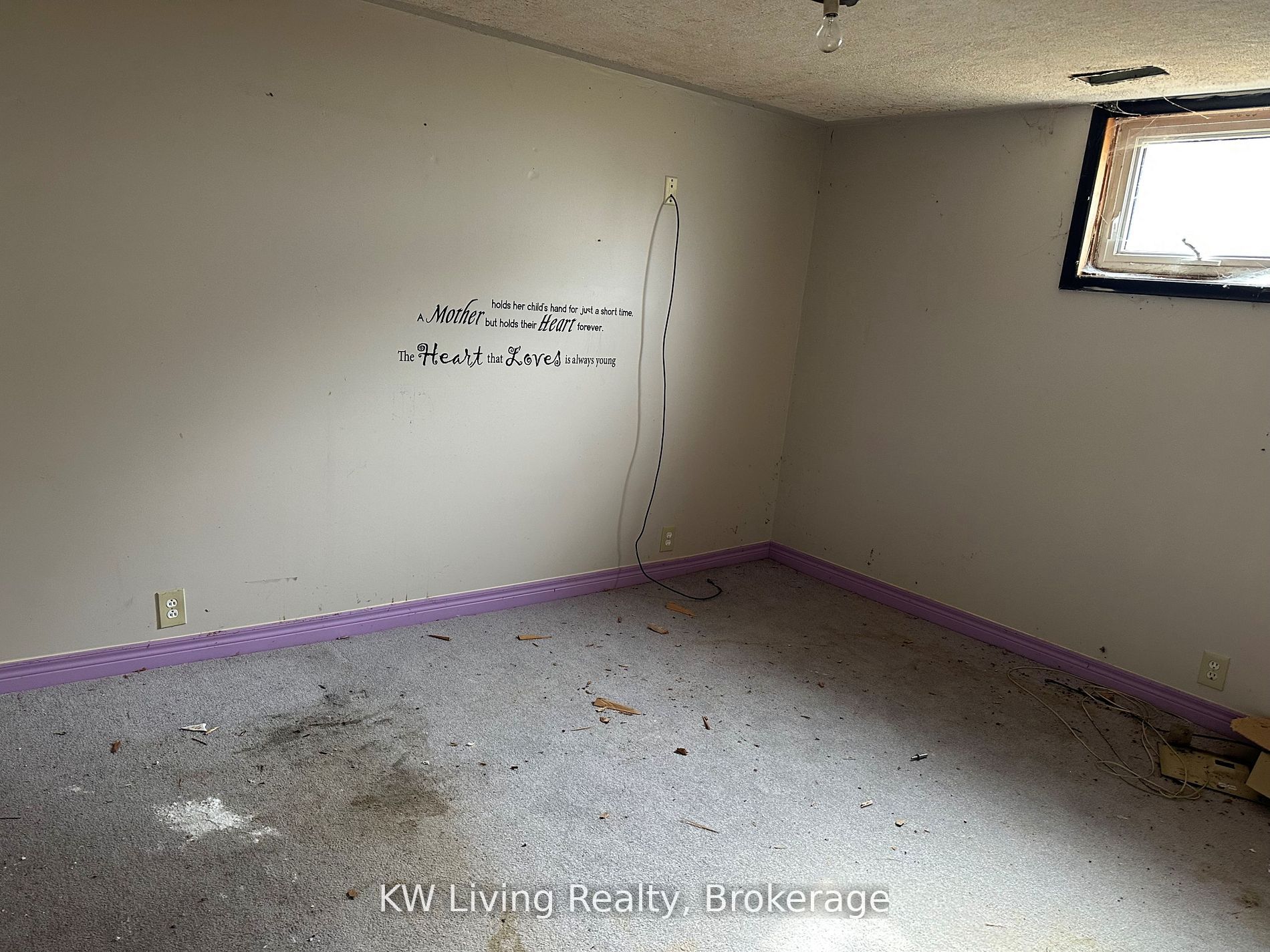 50 Cardwell Street Property Photo 9