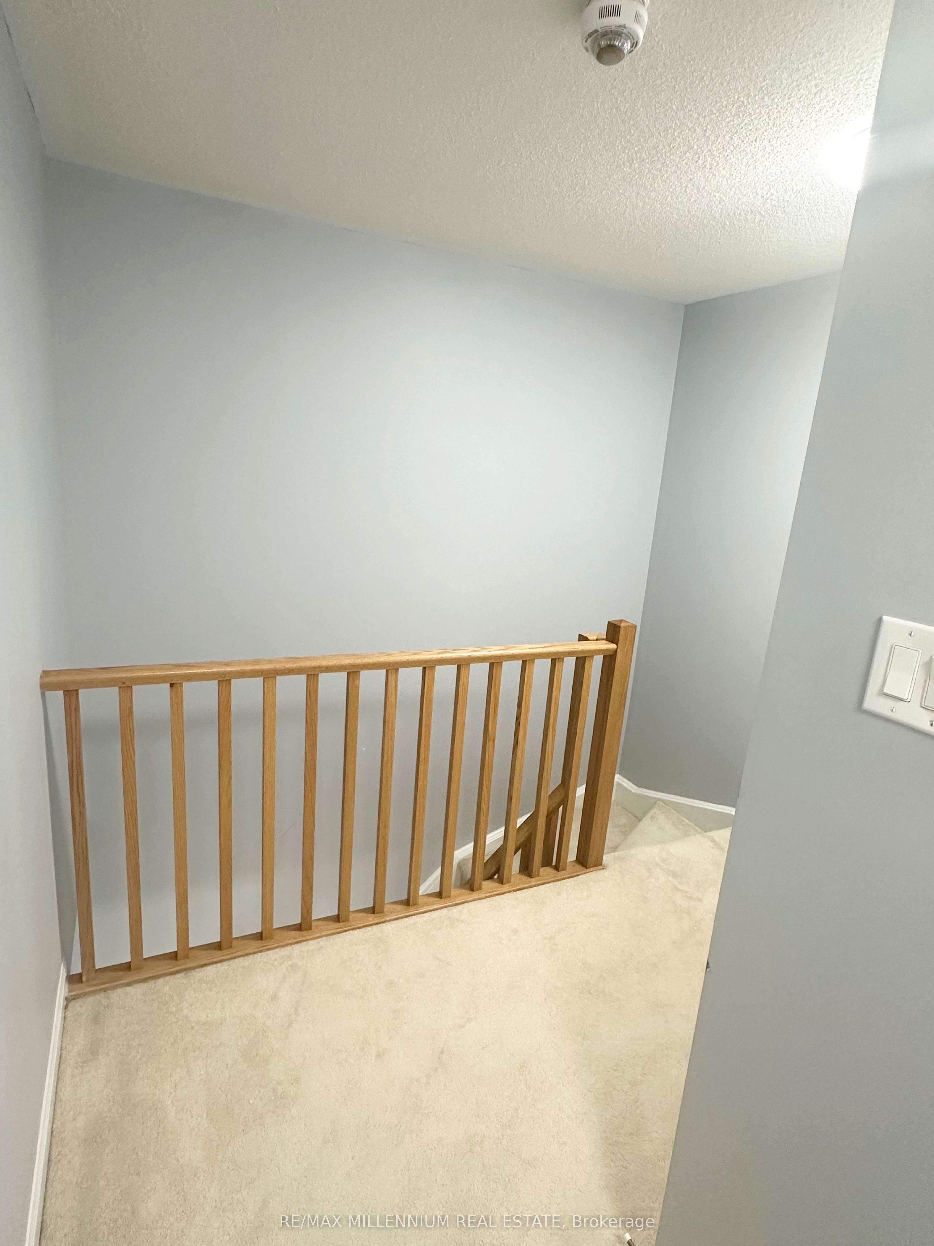 250 Sunny Meadow Blvd Property Photo 9
