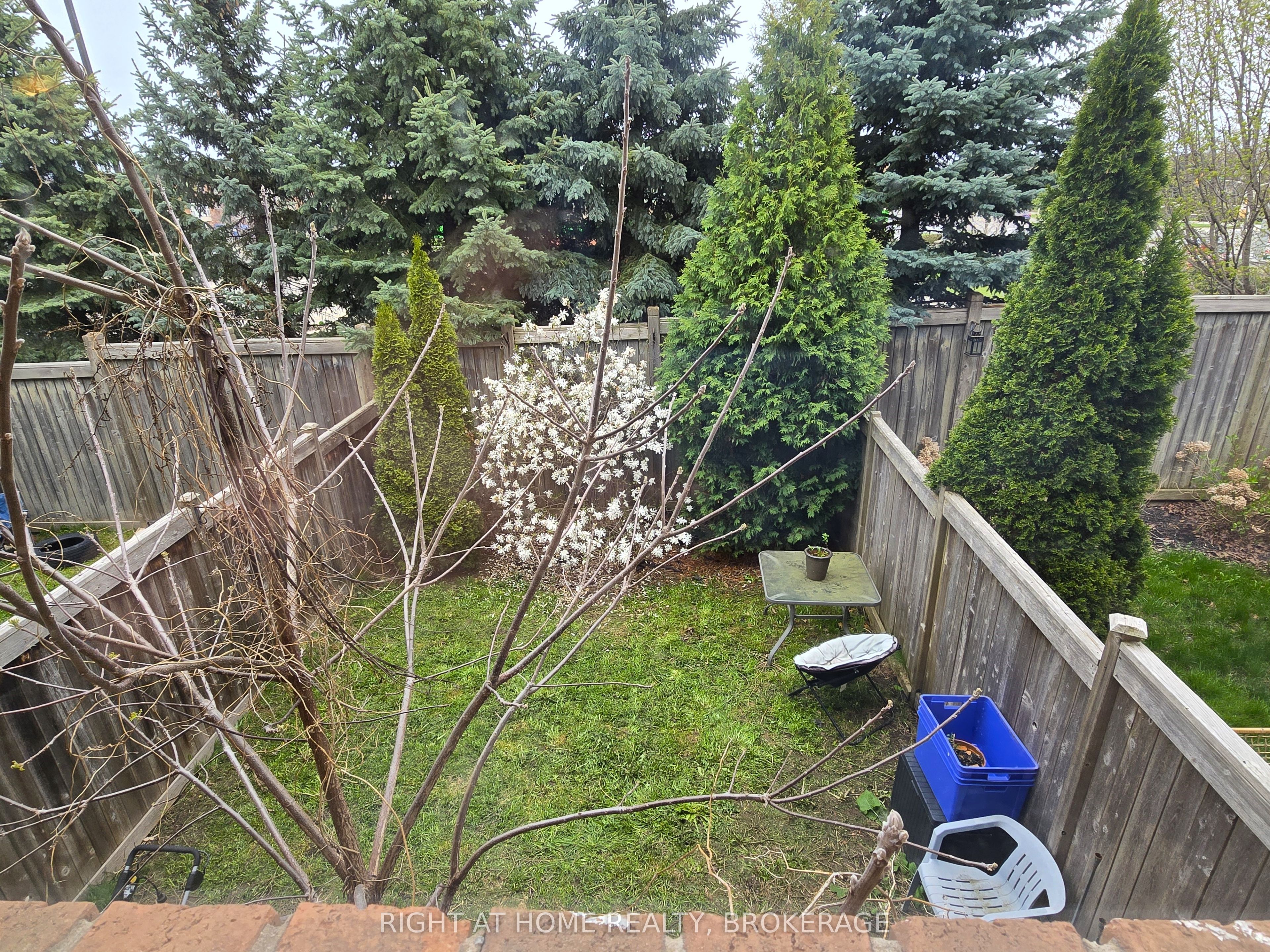 2441 Coho Way Property Photo 9