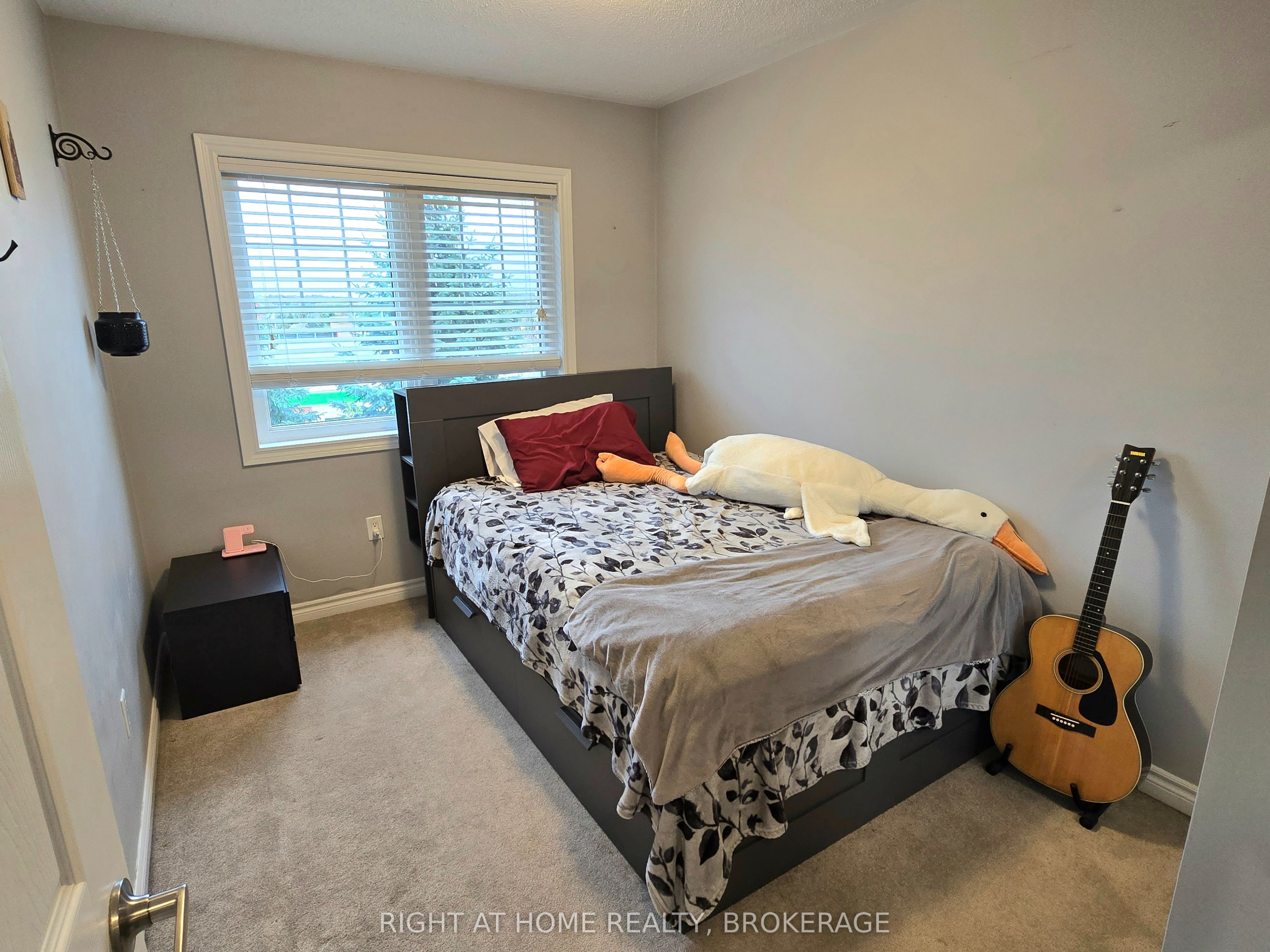 2441 Coho Way Property Photo 15