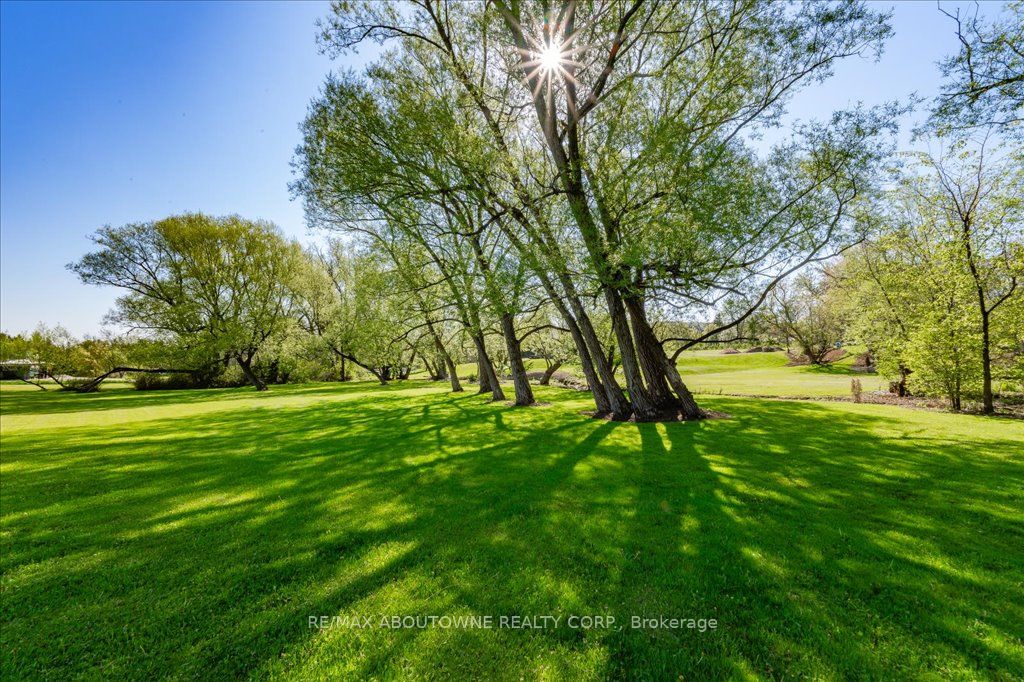 3029 Britannia Rd Property Photo 17