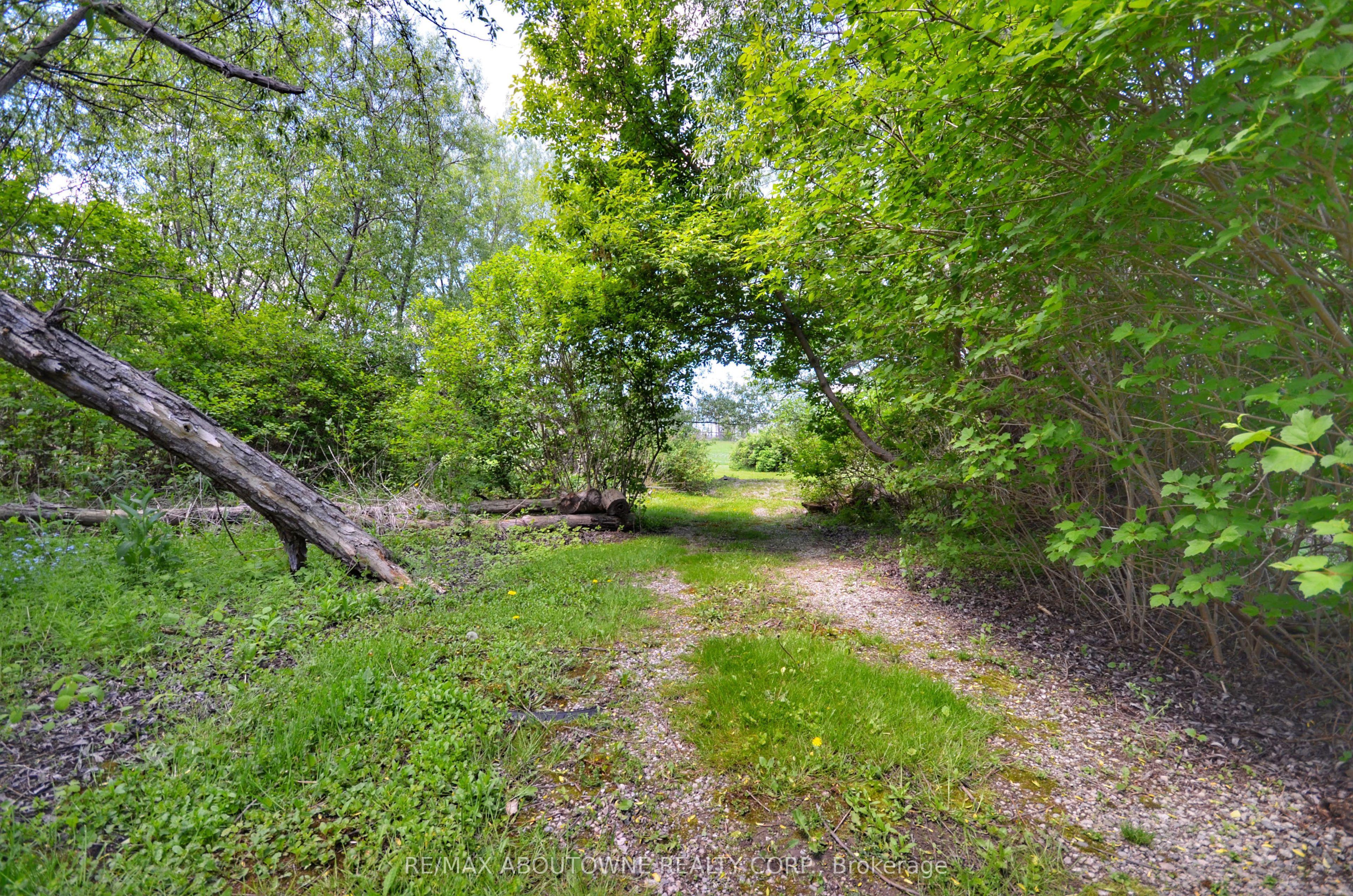 3029 Britannia Rd Property Photo 24
