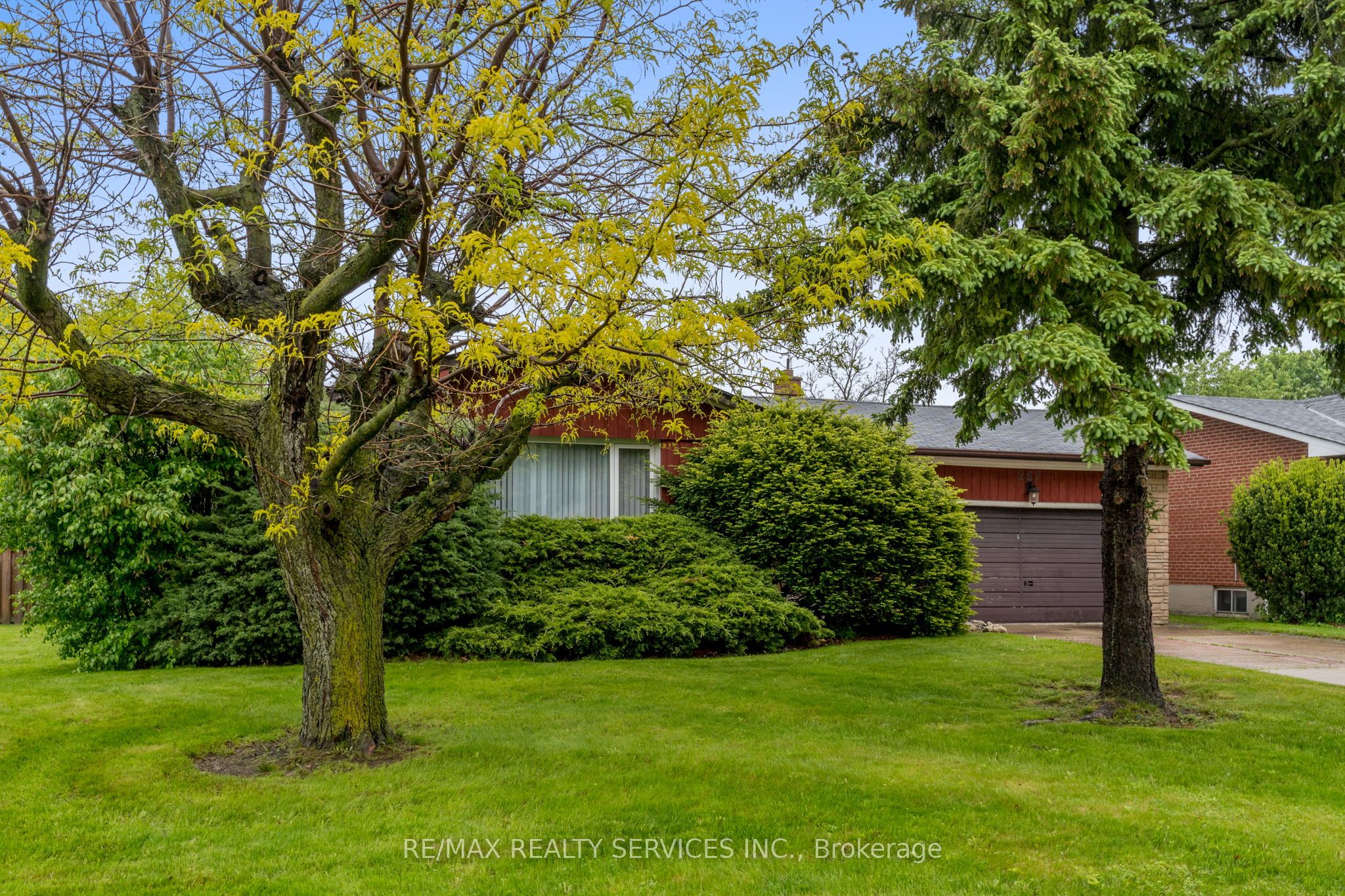 257 Elizabeth Street Property Photo 5