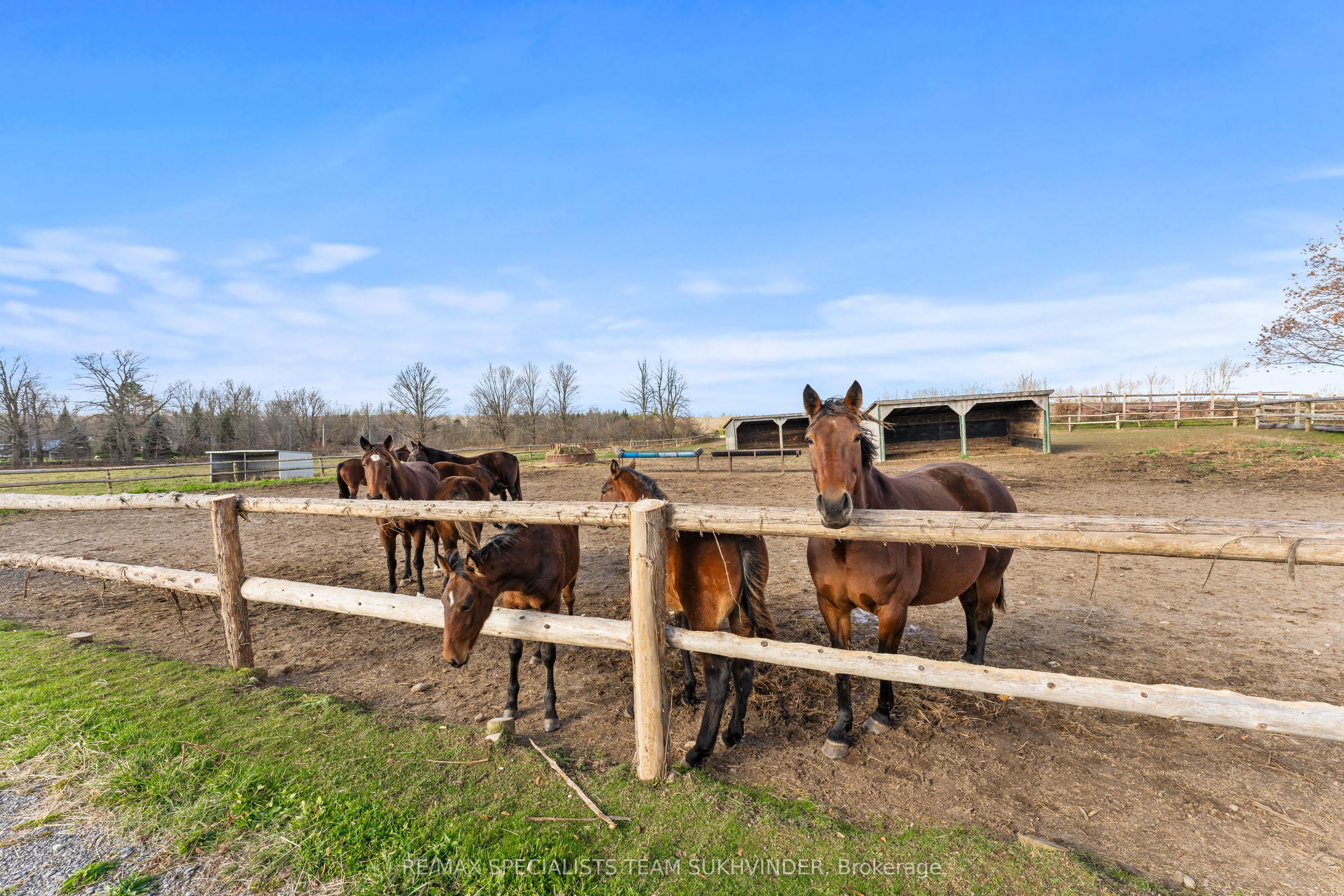 10253 Second Line Property Photo 18