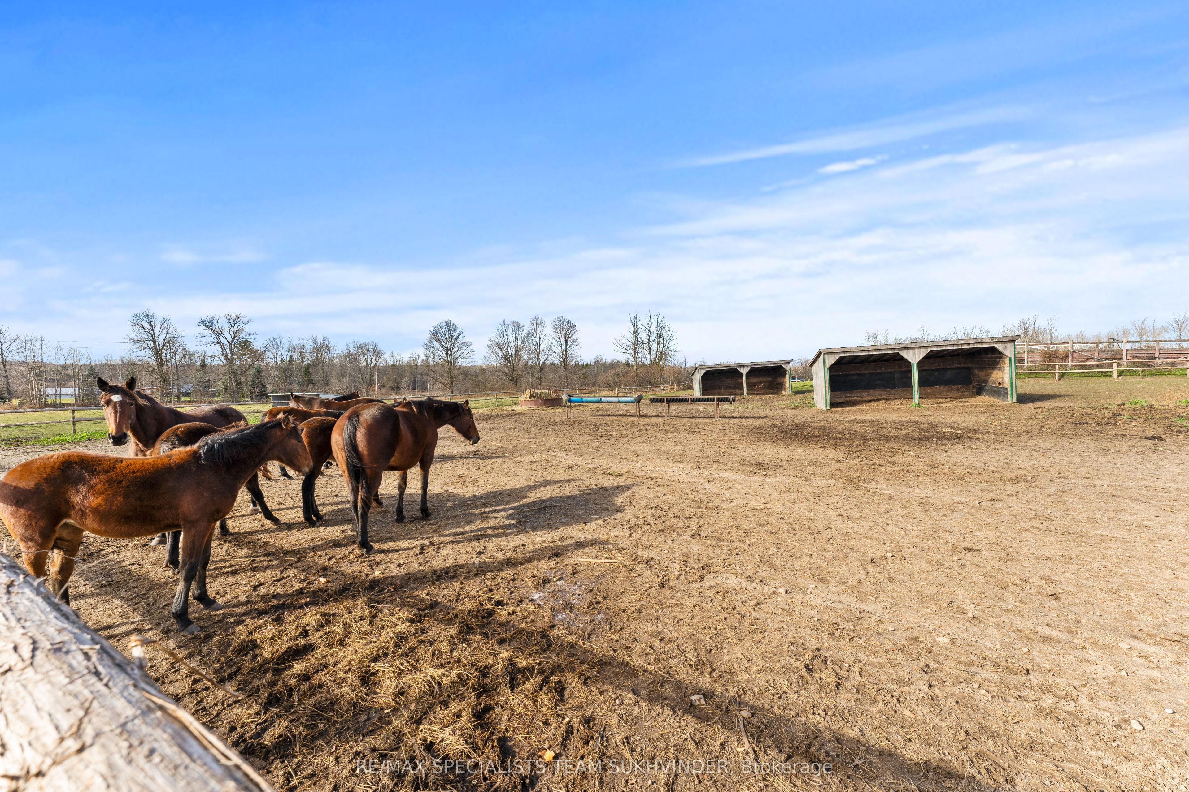 10253 Second Line Property Photo 19