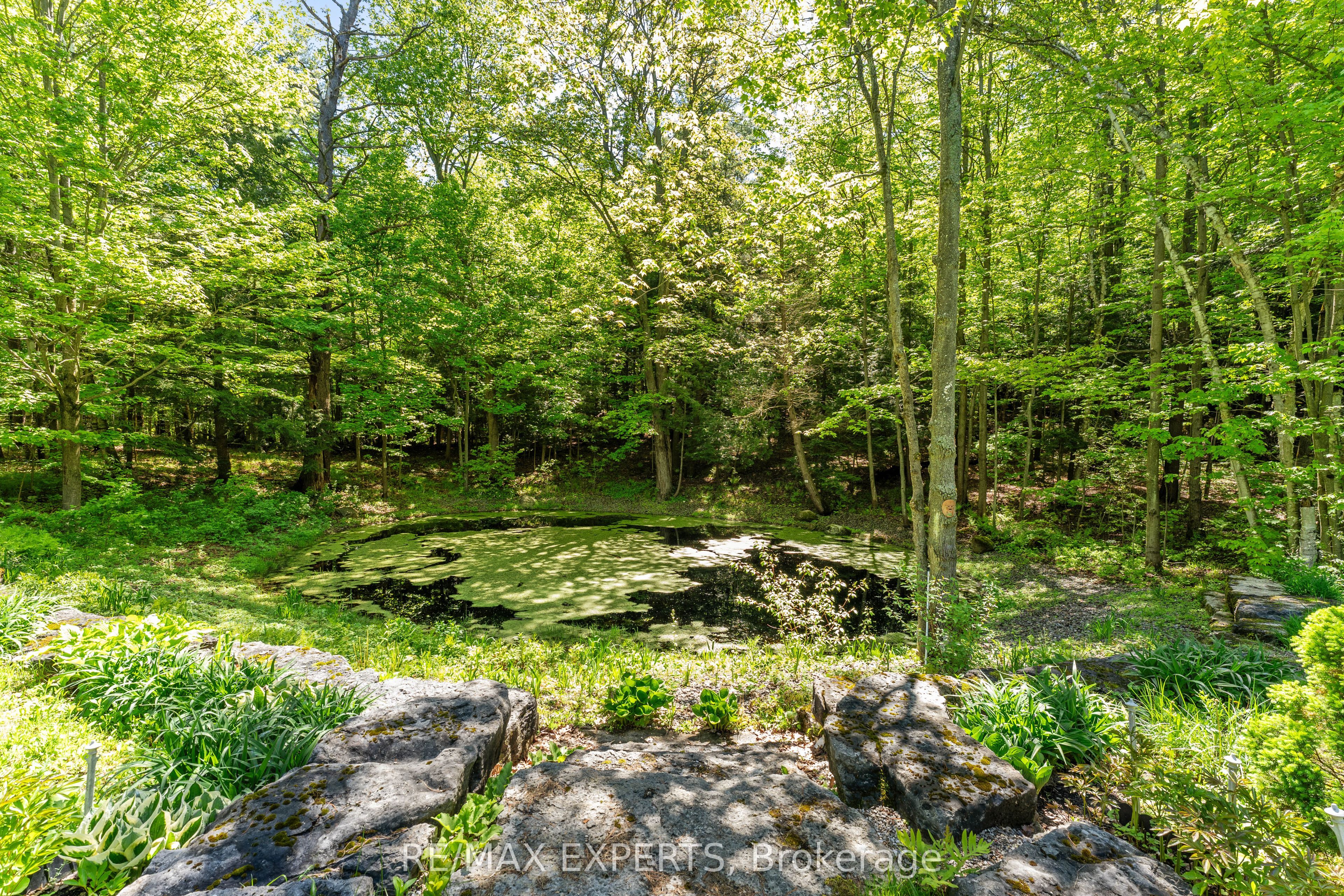 211 Pine Avenue Property Photo 45