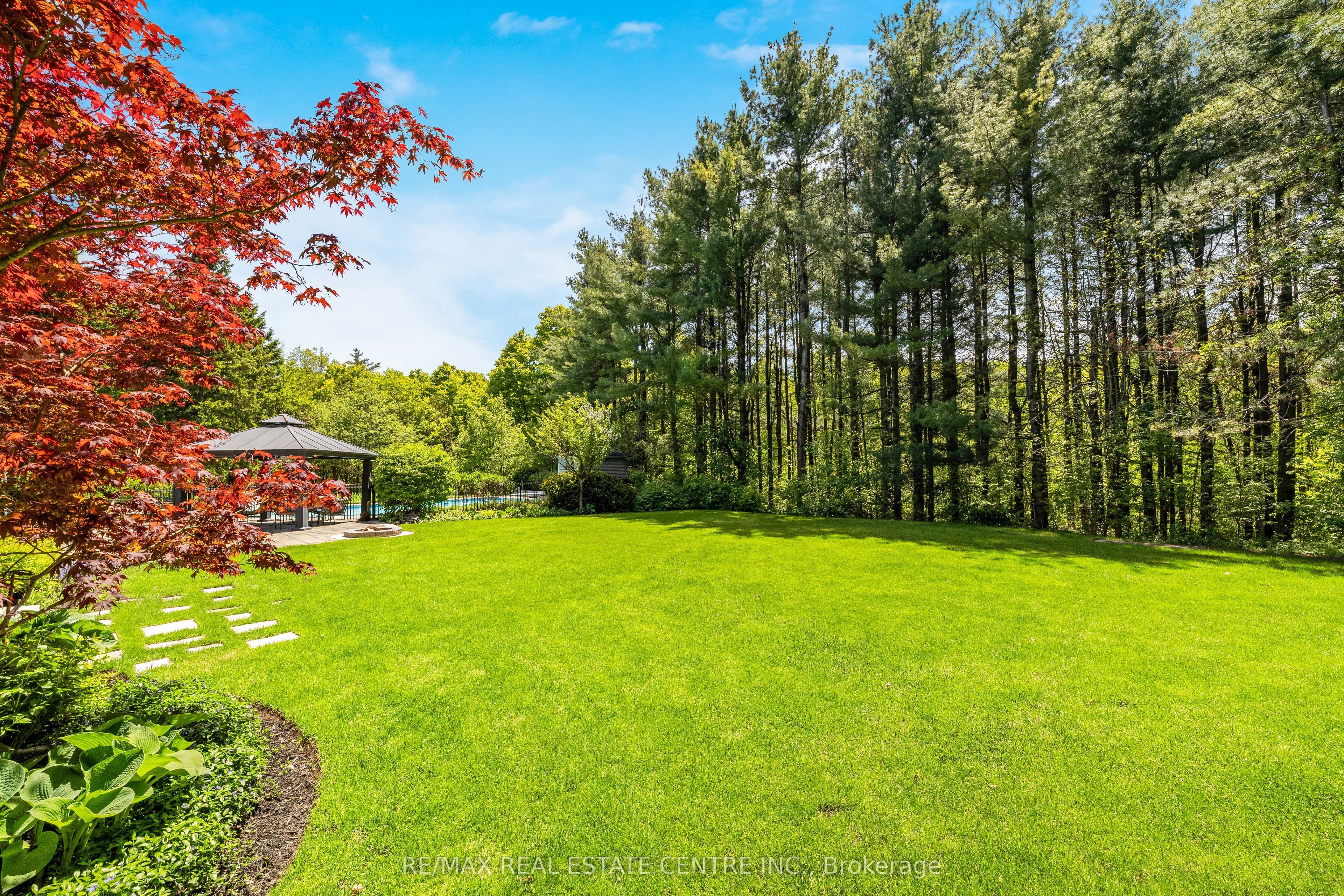 8492 Canyon Road Property Photo 6