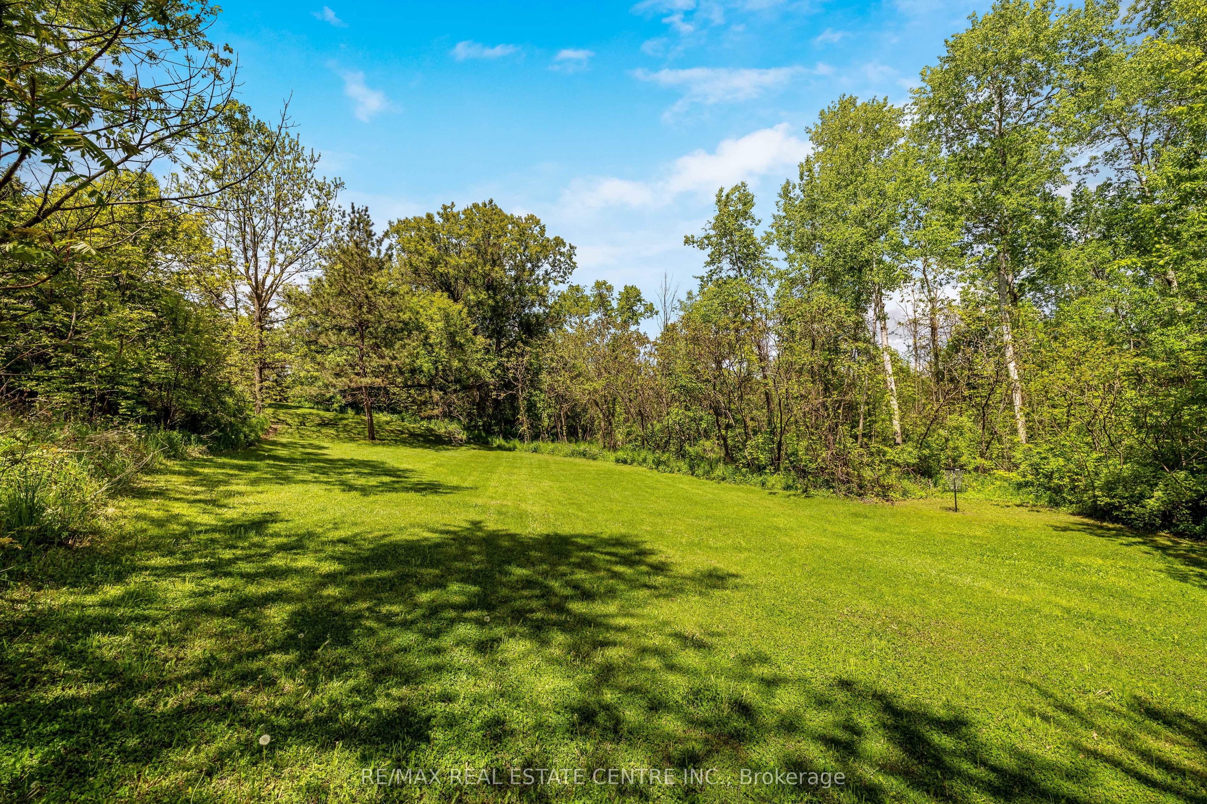8492 Canyon Road Property Photo 46