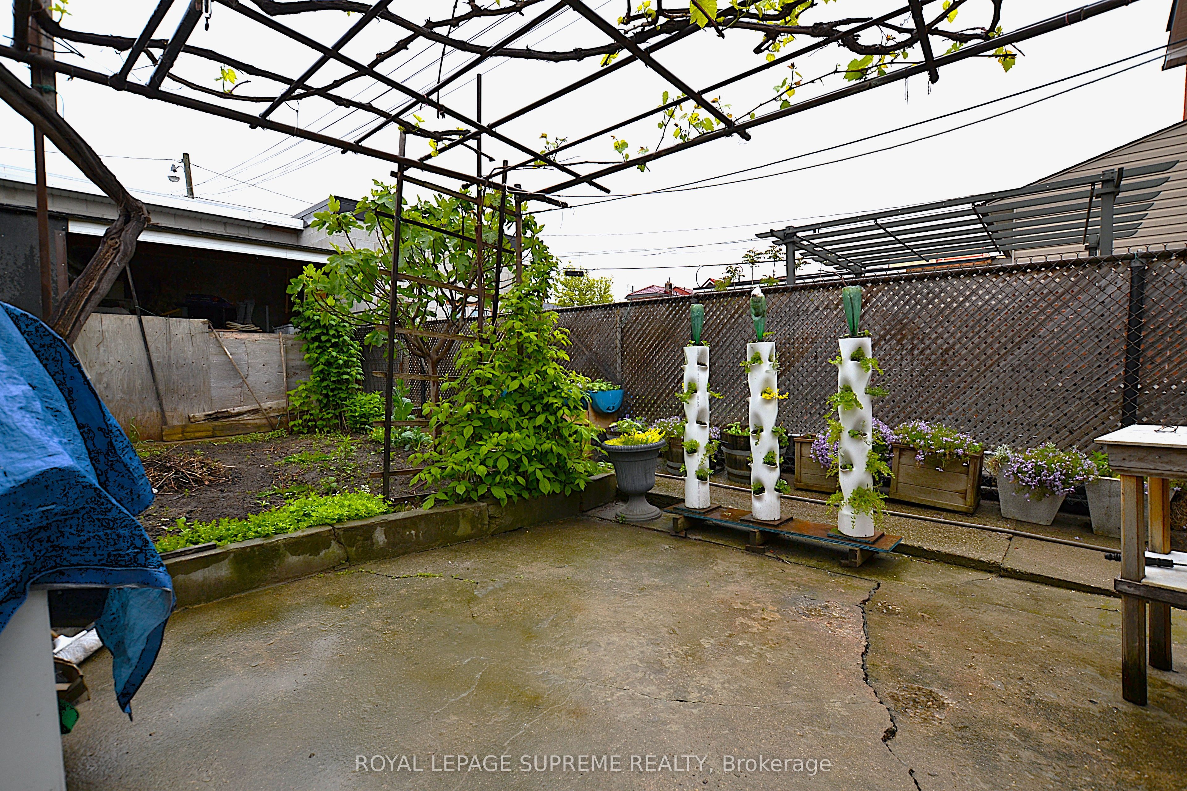 4 Chandos Avenue Property Photo 18