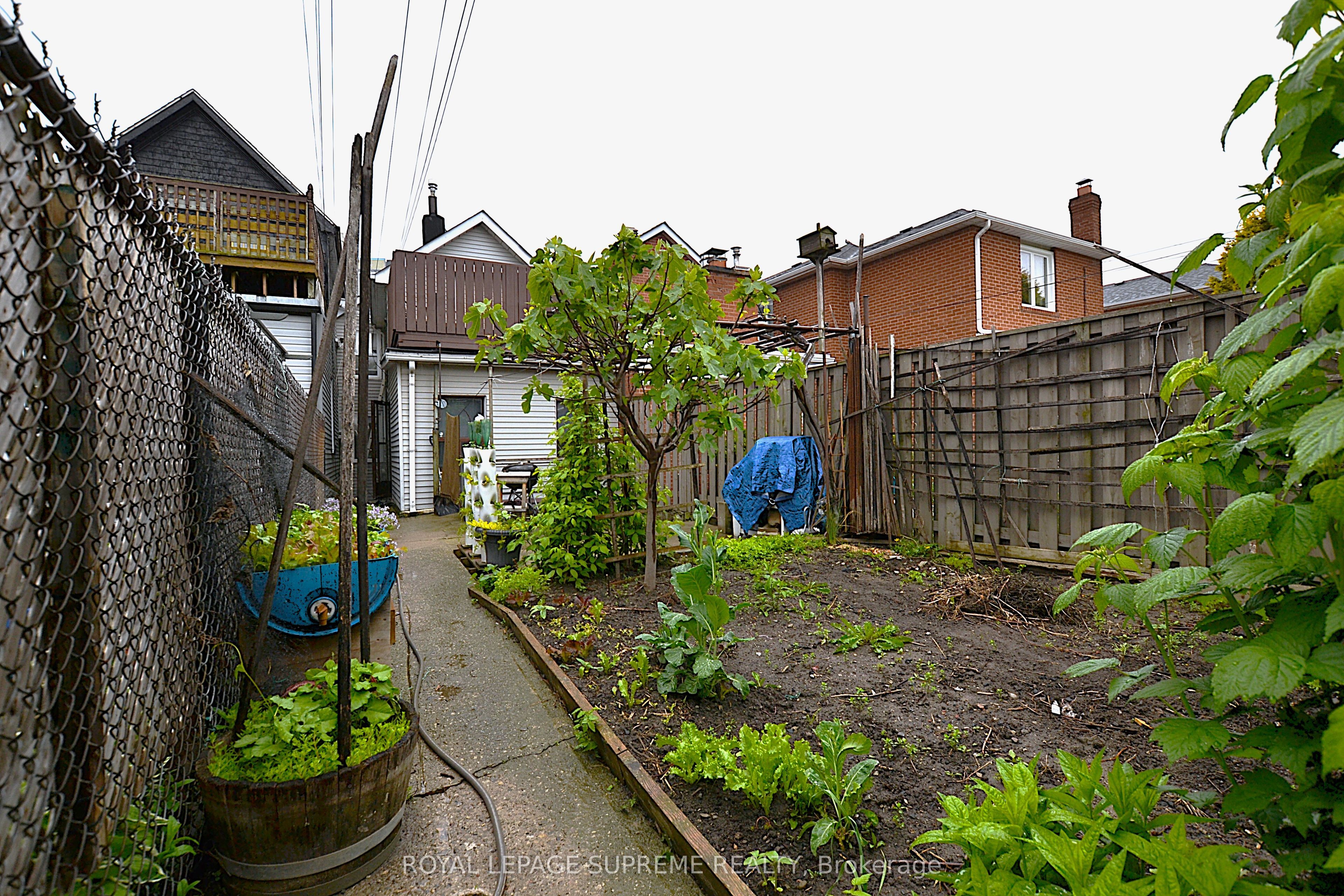 4 Chandos Avenue Property Photo 19