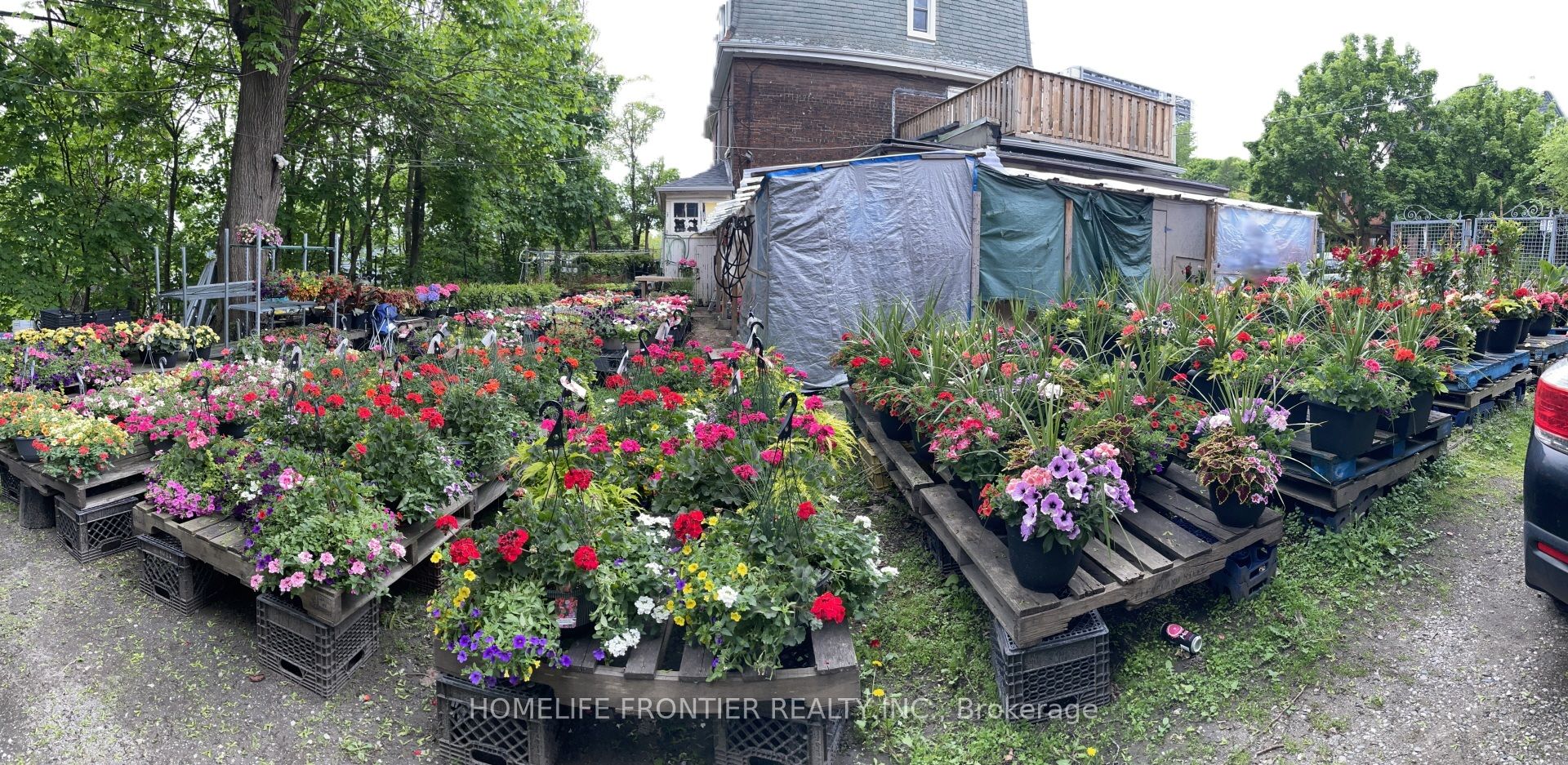 65 Dunn Avenue Property Photo 10