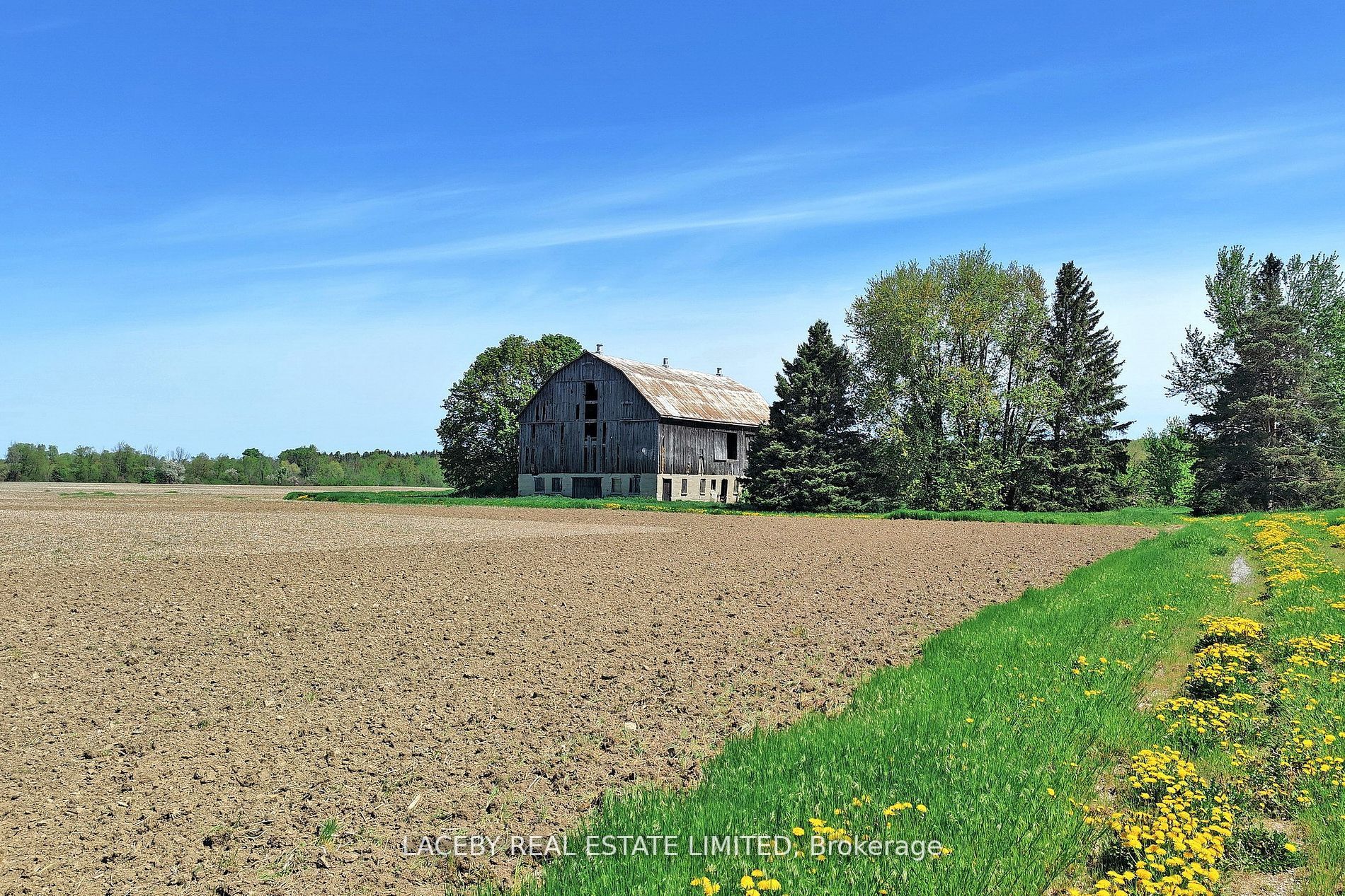 14671 Bramalea Rd Property Photo 2