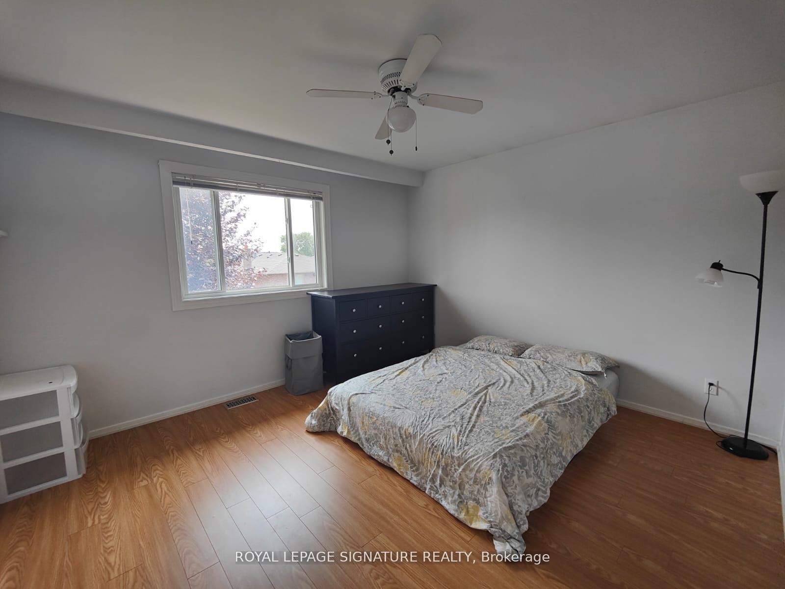 #main - 454 Fendalton Street Property Photo 10