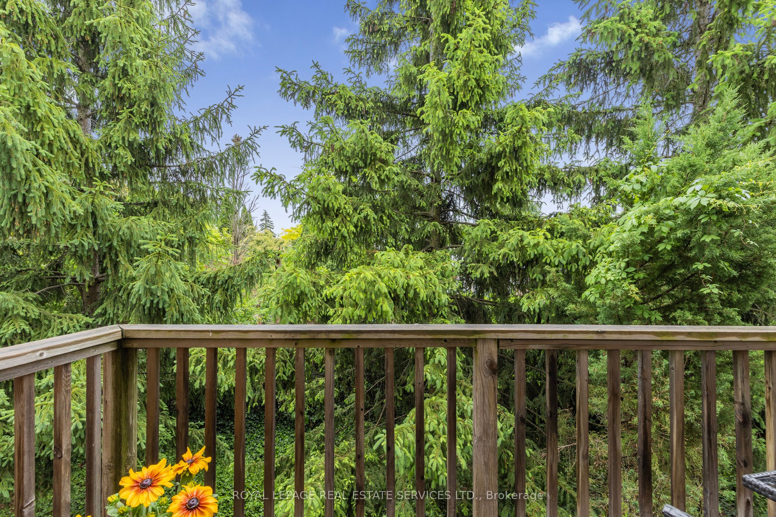 4280 Ingram Common Property Photo 15