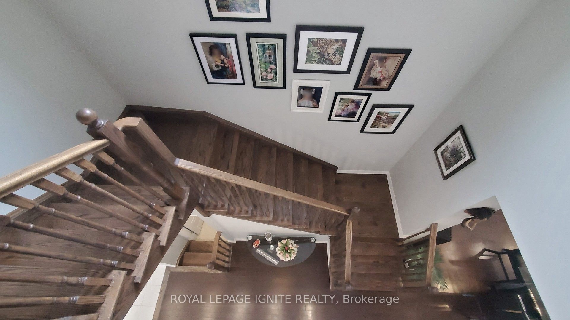 546 Kennedy Cir Property Photo 15