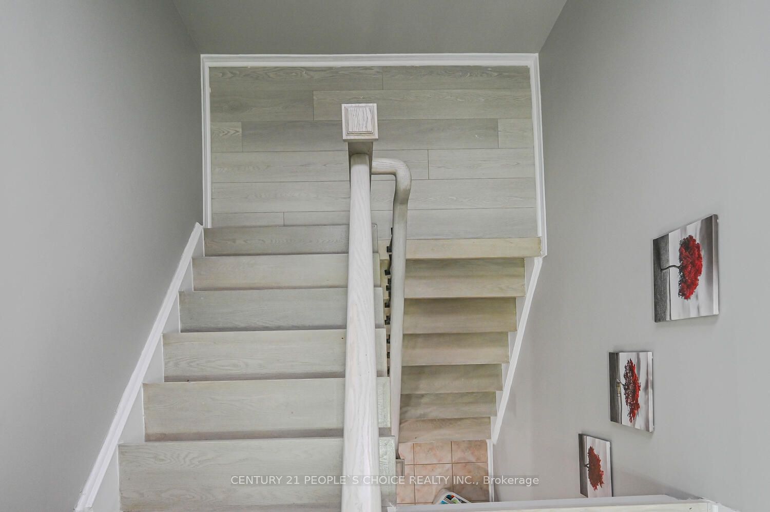 4 Domenico Crescent Property Photo 22