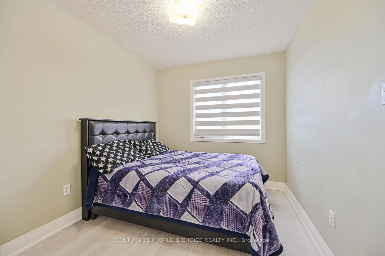 4 Domenico Crescent Property Photo 31