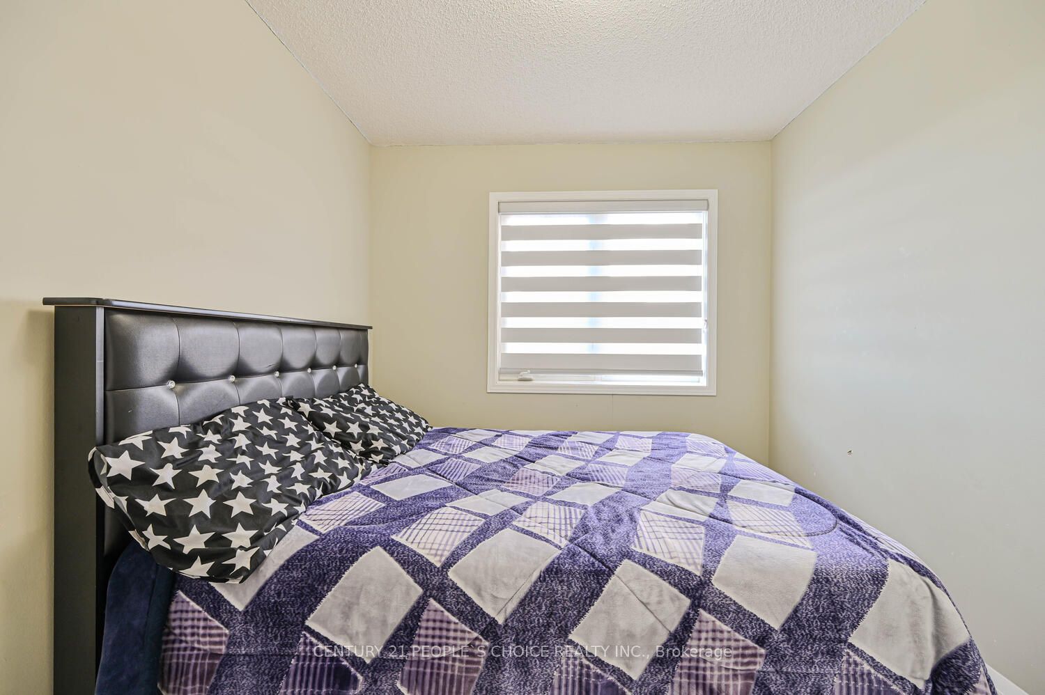 4 Domenico Crescent Property Photo 32