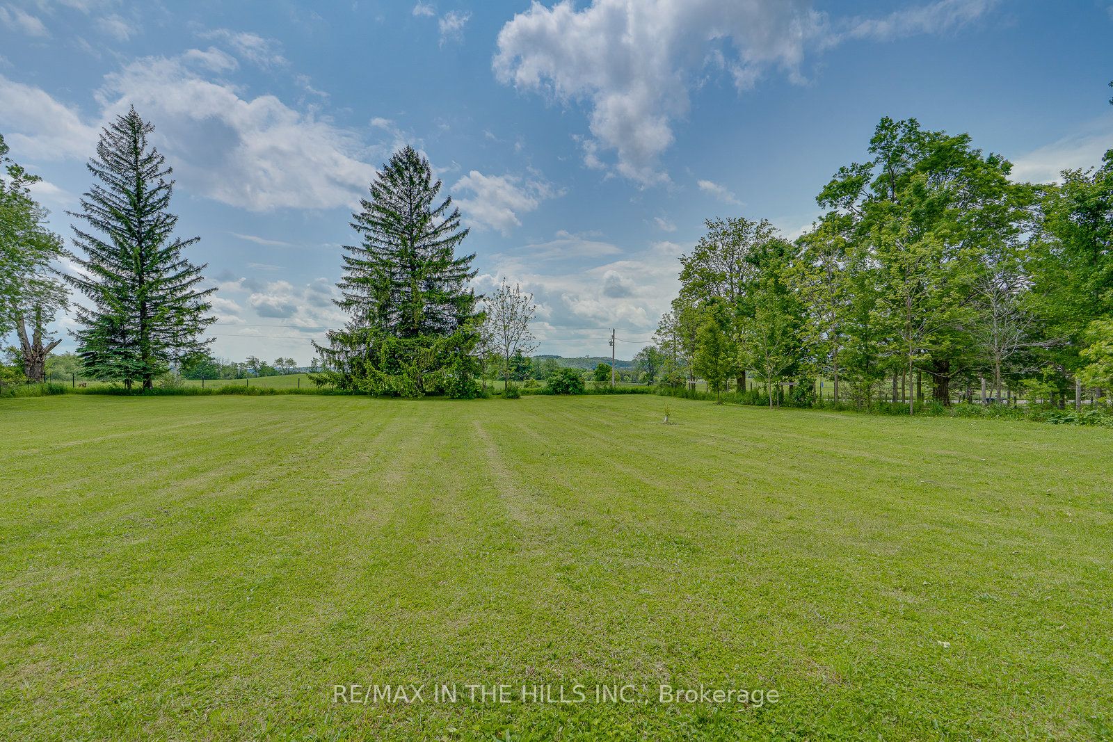 20643 Kennedy Road Property Photo 22