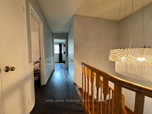 5 Kintyre Street Property Photo 14