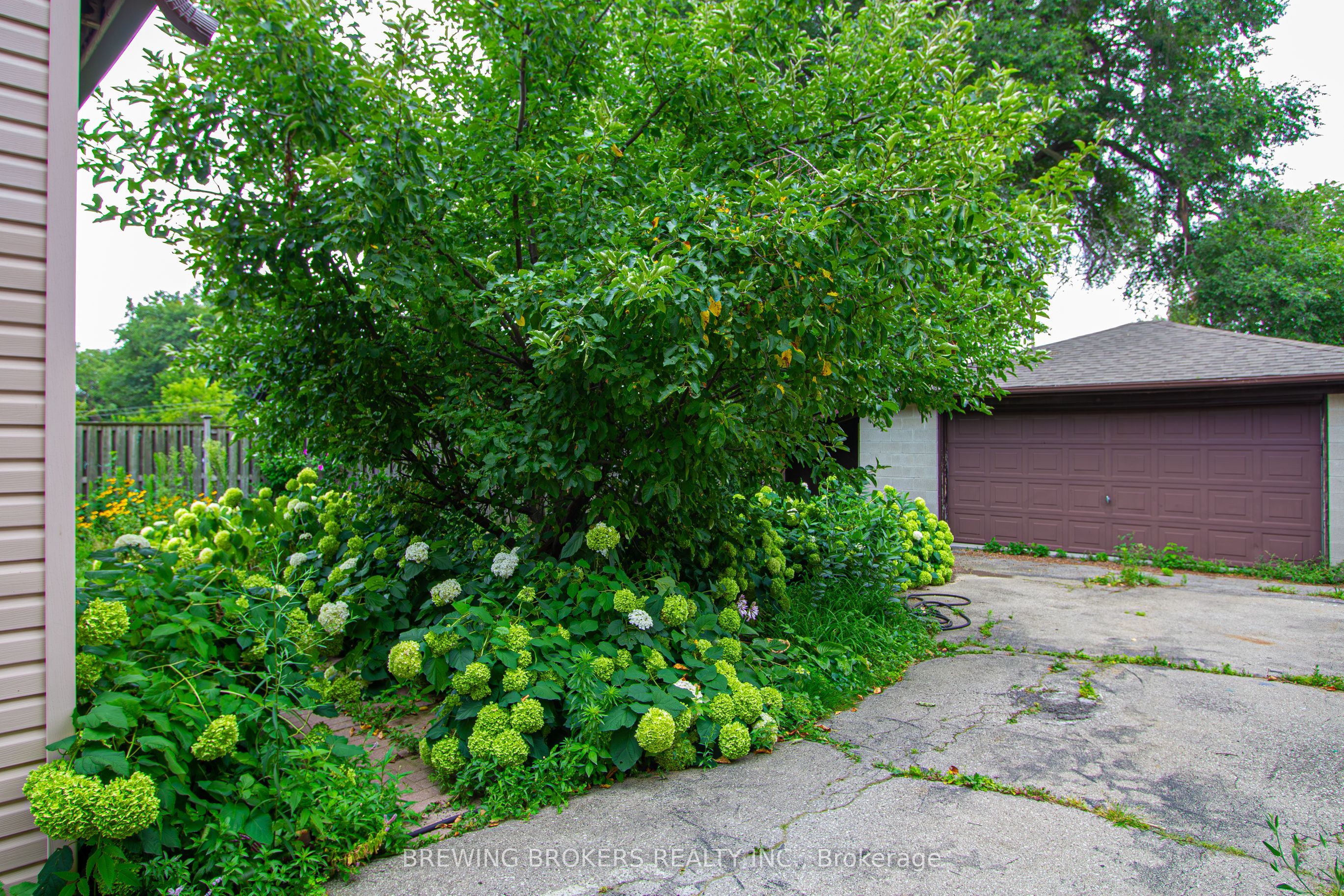 62 Culnan Avenue Basement Property Photo 7