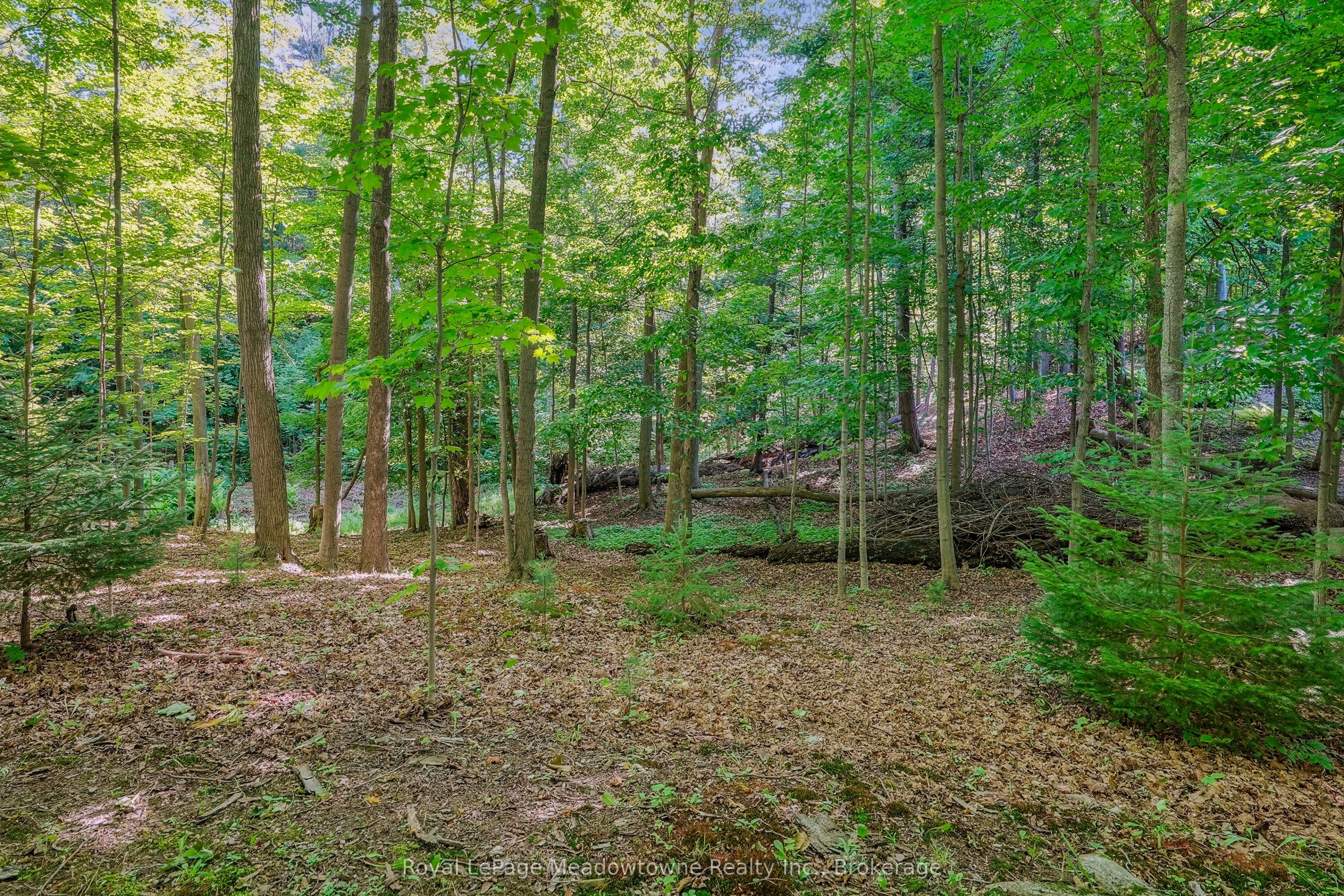 9878 15 Side Road Property Photo 39