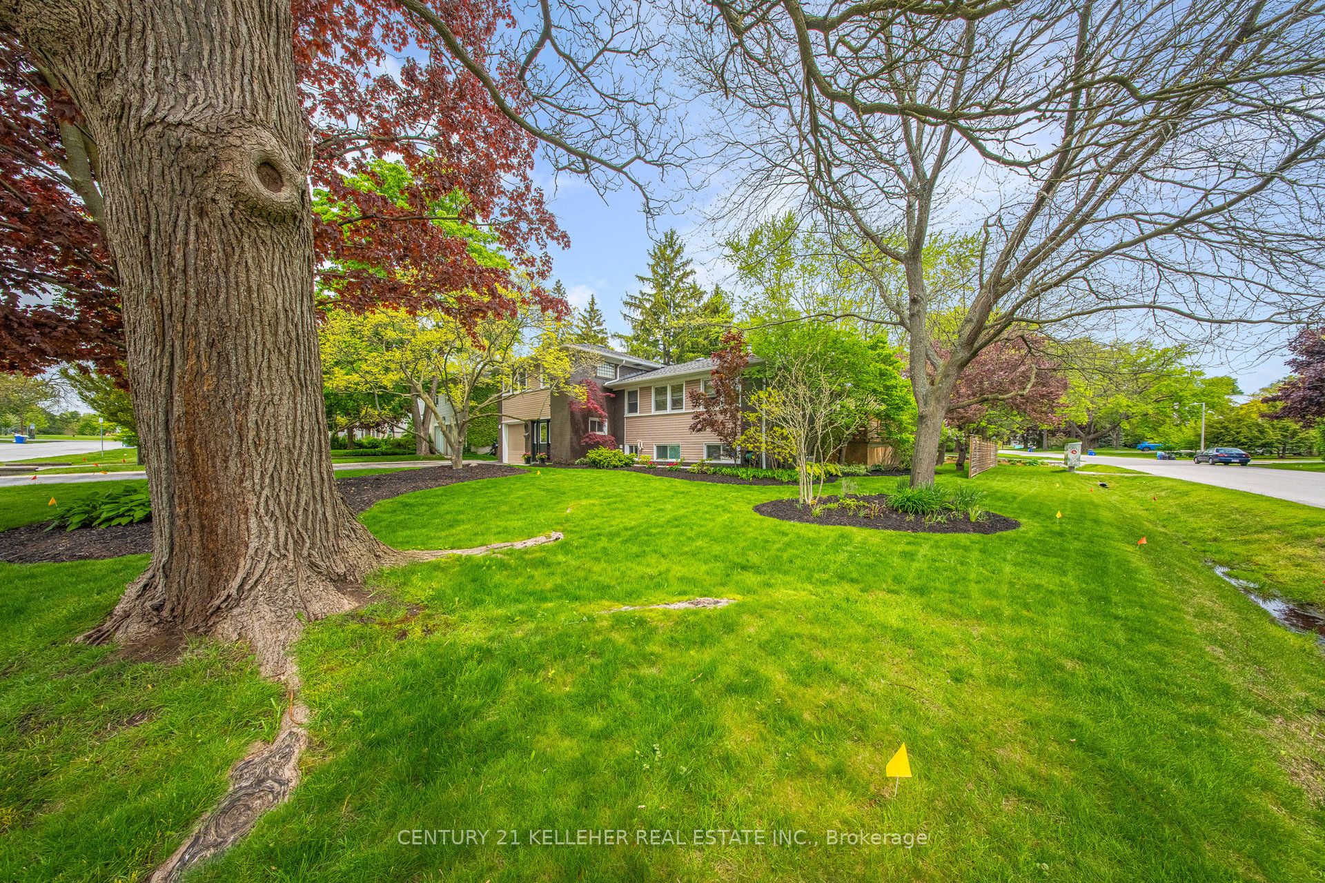 183 Westminster Drive Property Photo 1