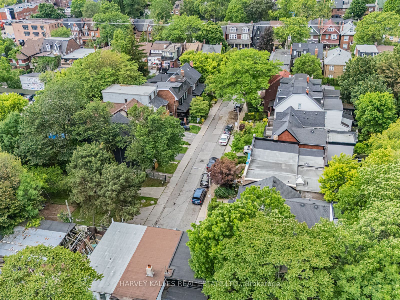 18 Saunders Avenue Property Photo 38