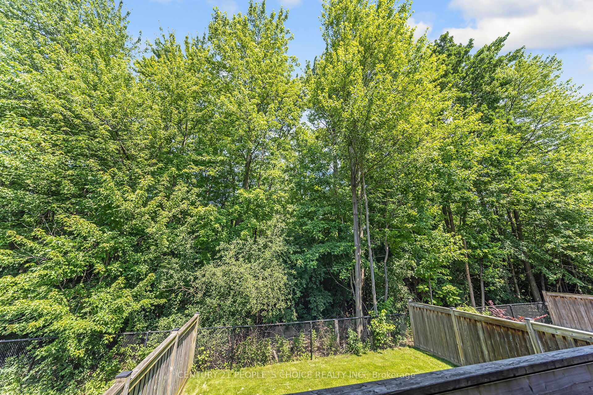 461 Acumen Court Property Photo 46