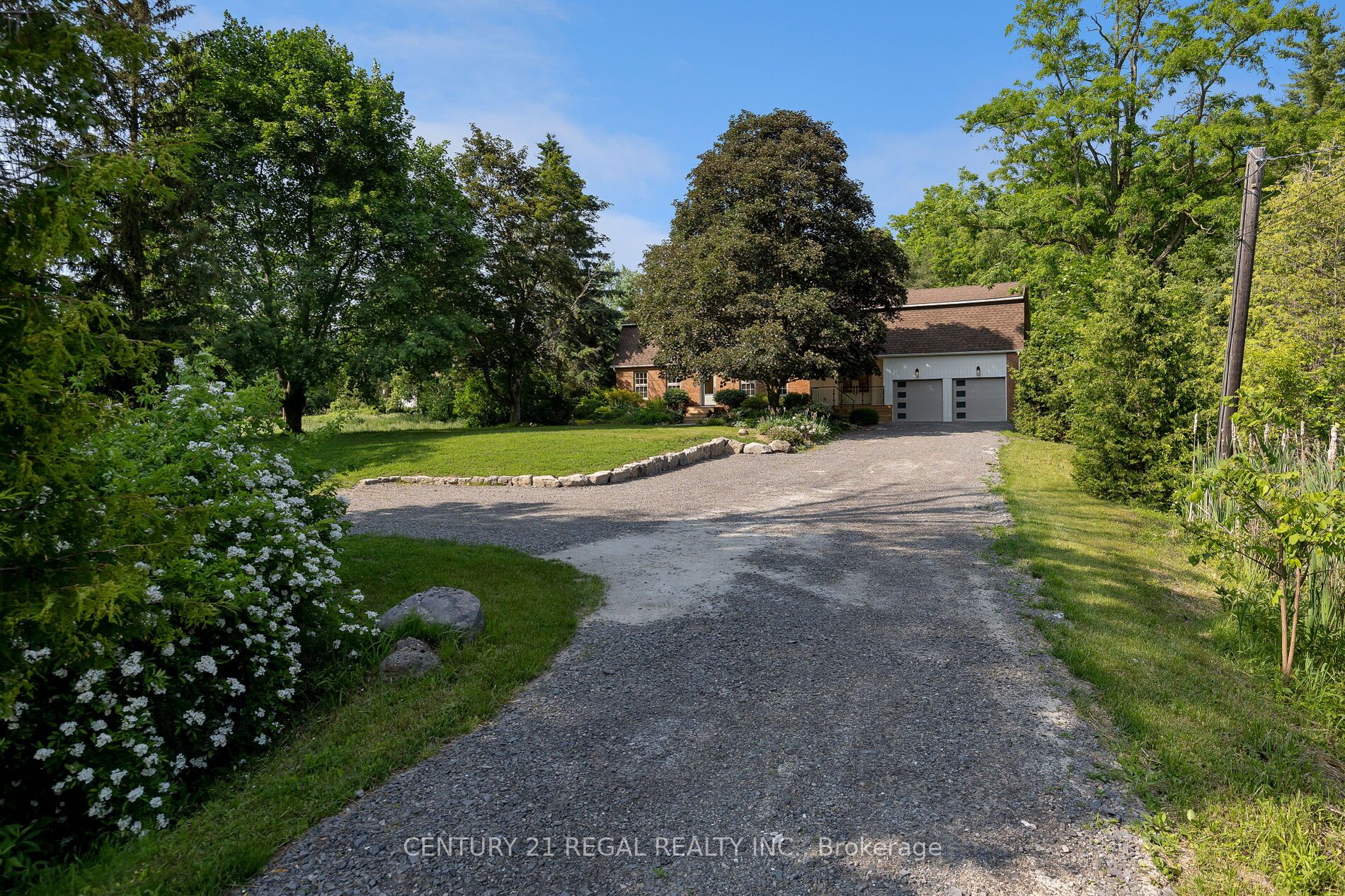 5535 Cedar Springs Road Property Photo 41