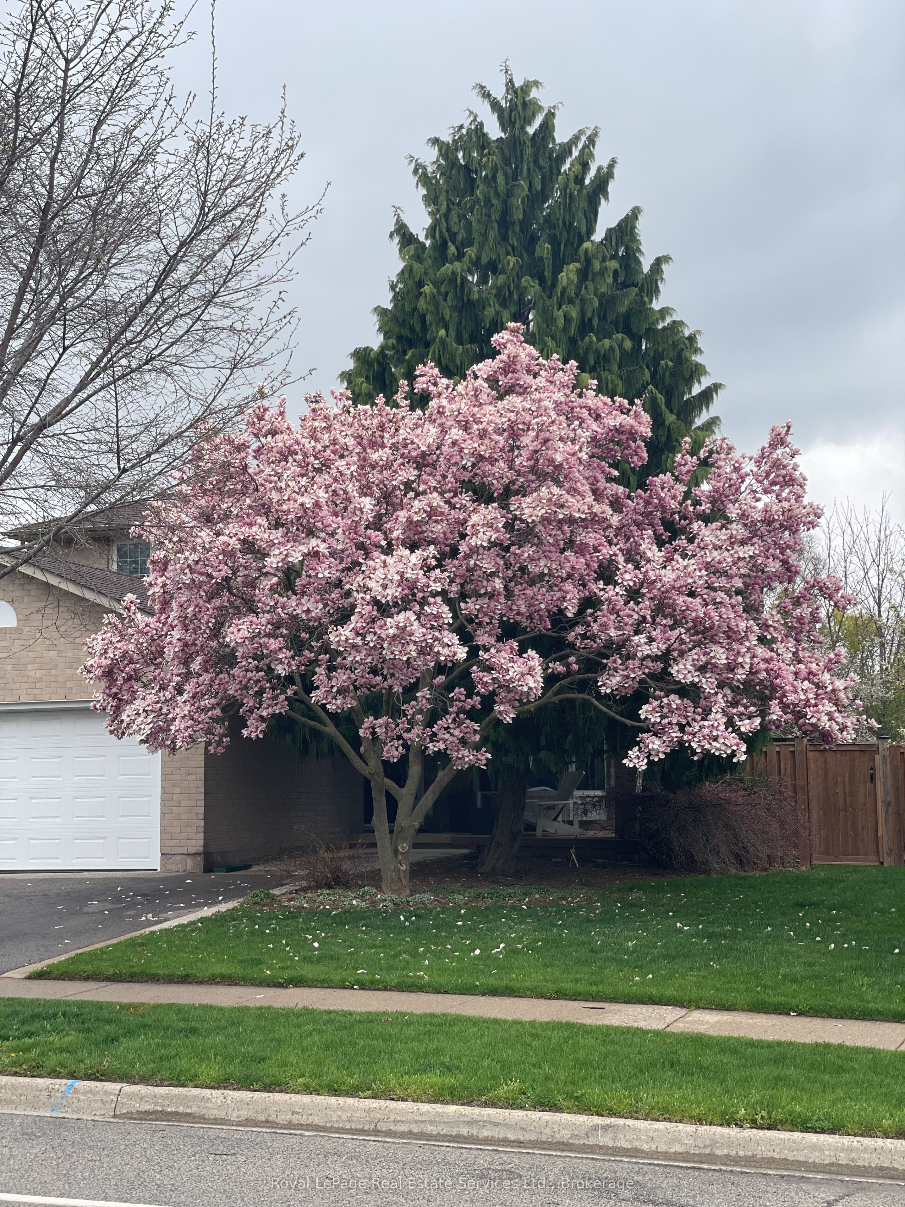 471 Deerhurst Drive Property Photo 45