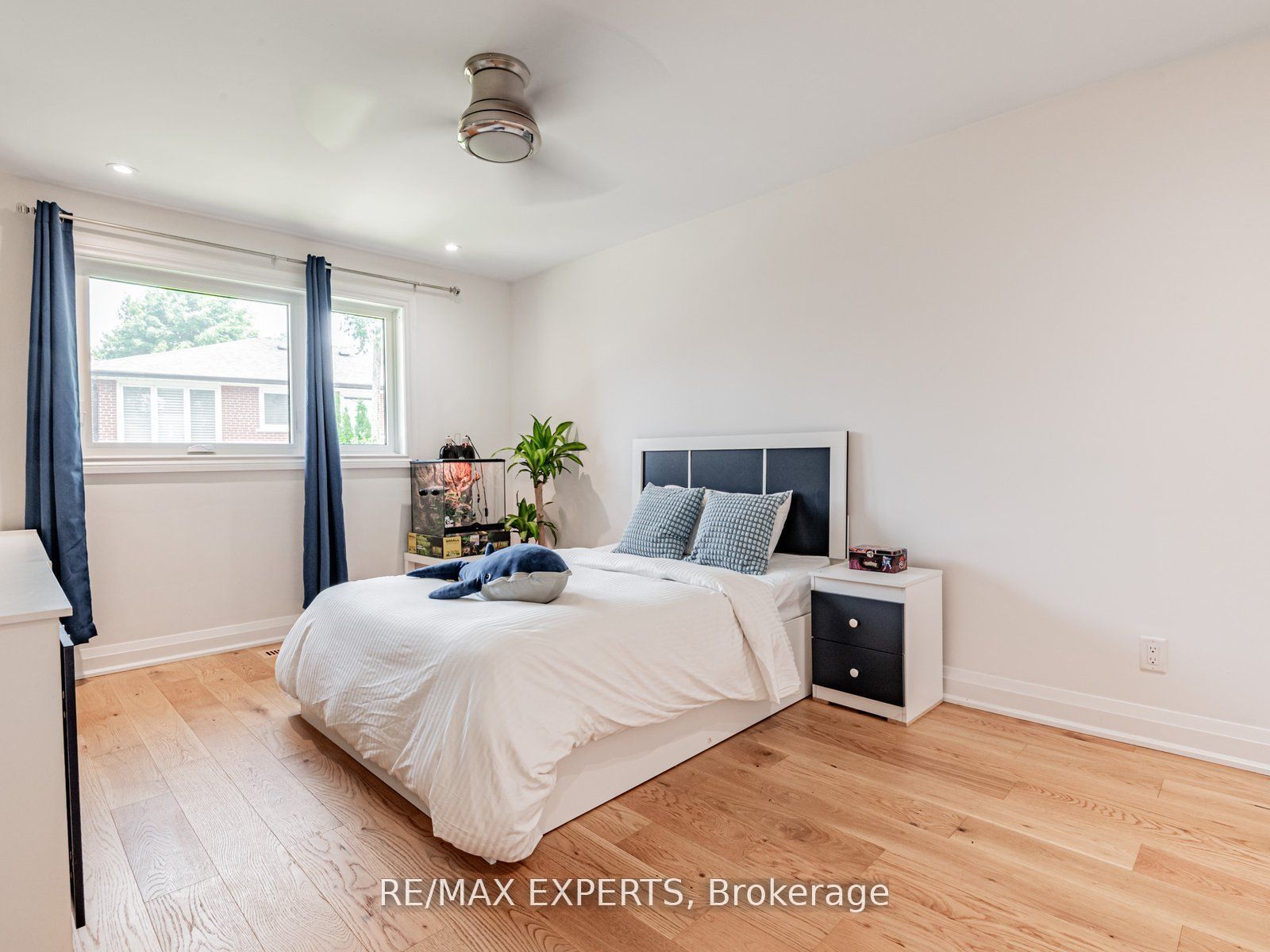 7 Culford Road Property Photo 22