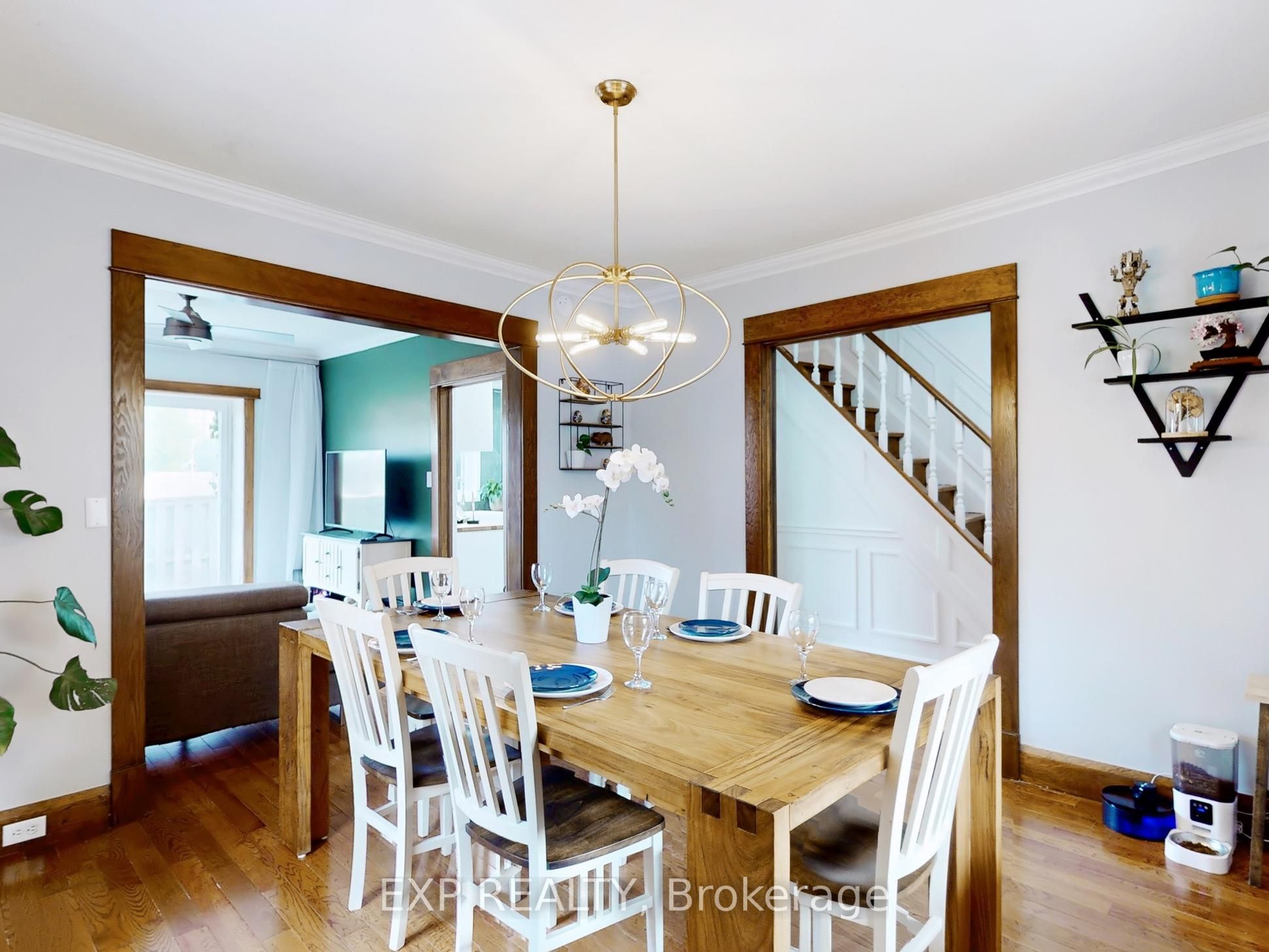 7 David Street Property Photo 35