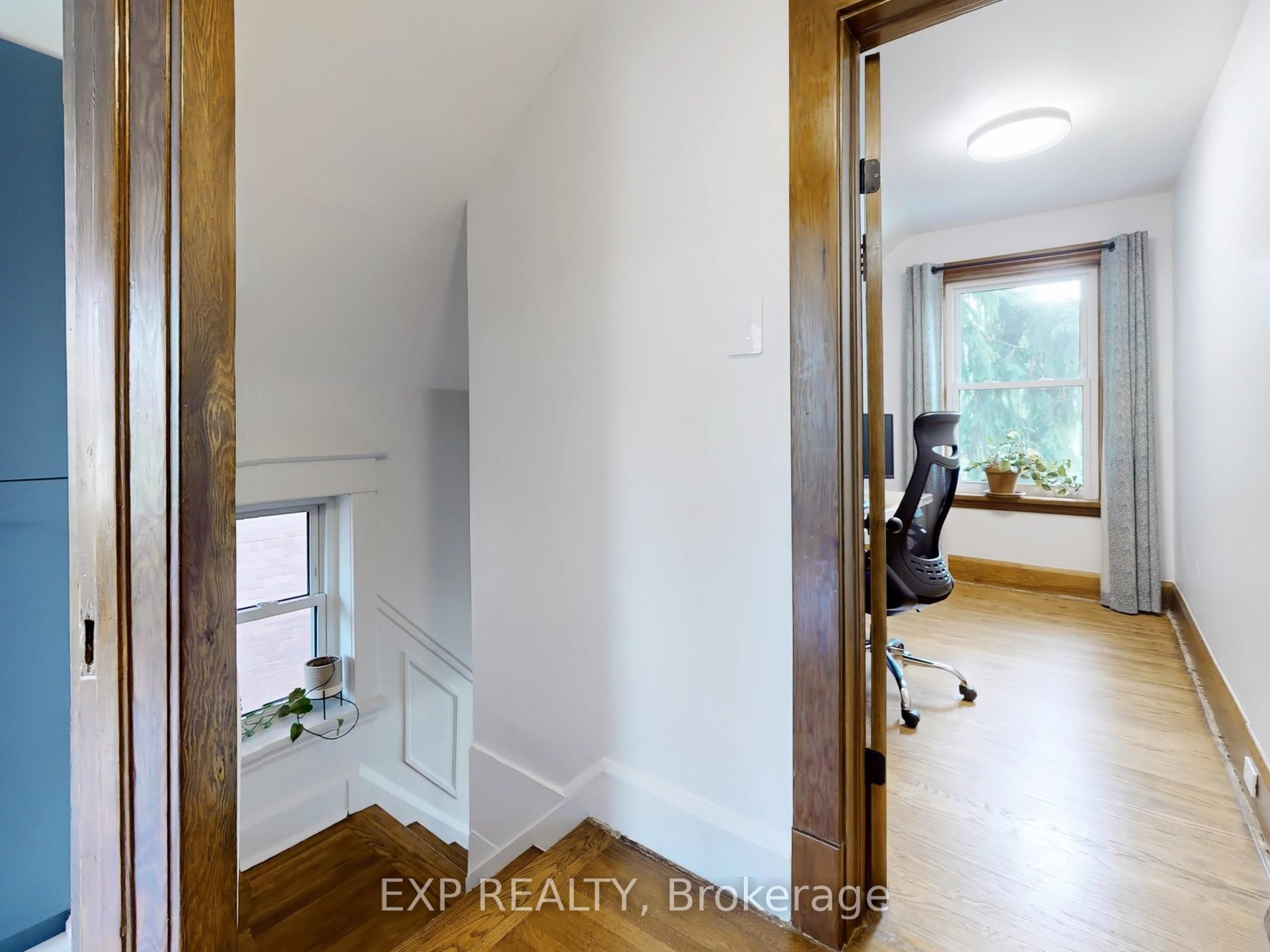 7 David Street Property Photo 43
