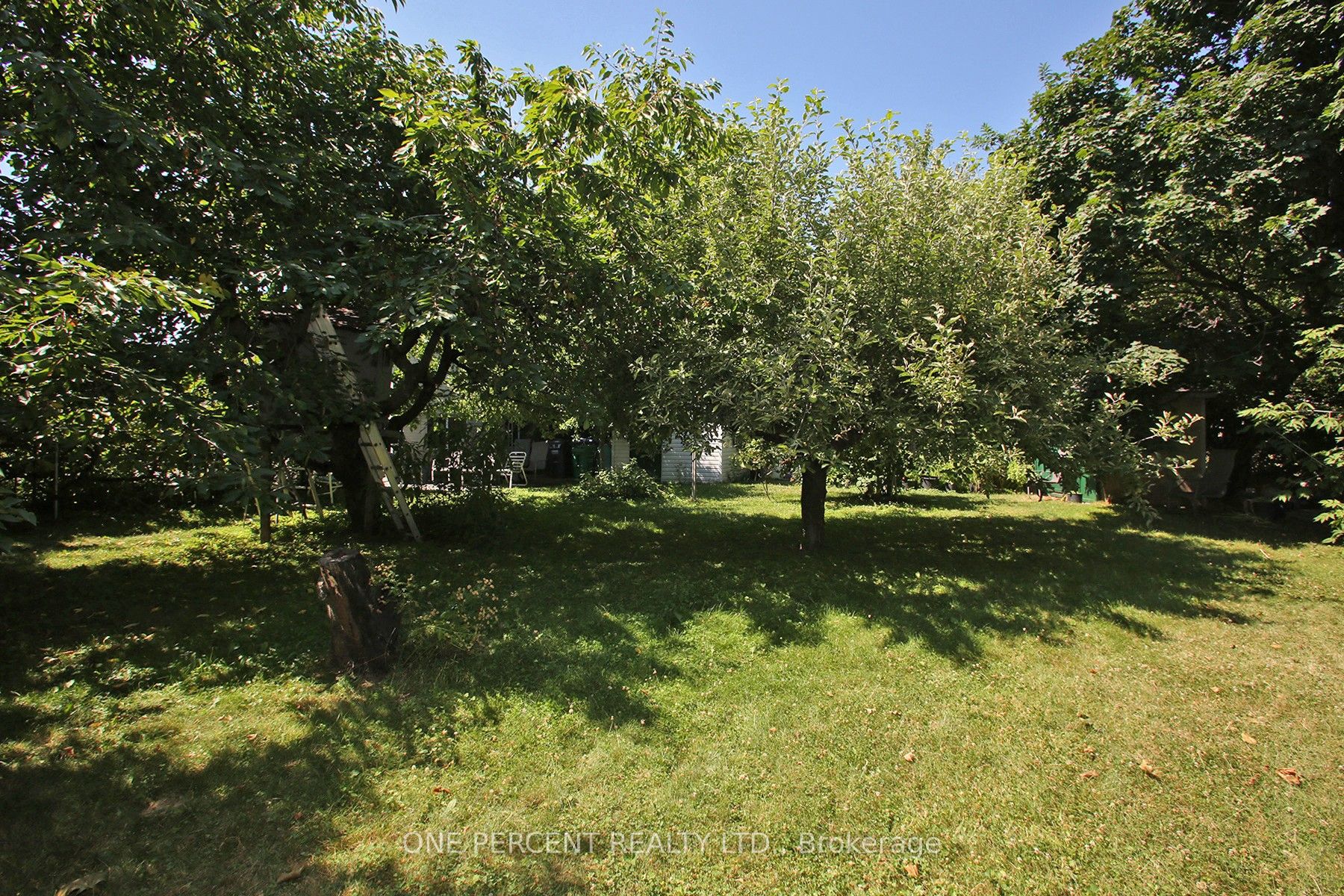 1543 Sandgate Crescent Property Photo 15
