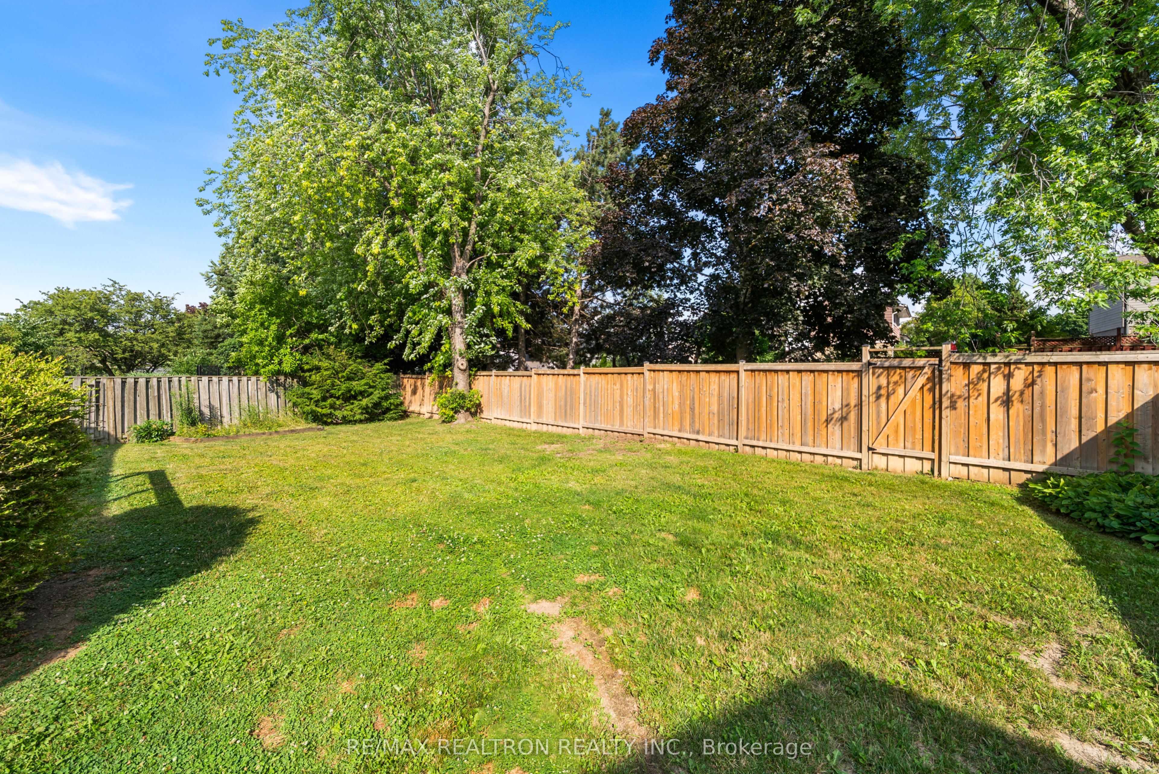 56 Mansfield Street Property Photo 46