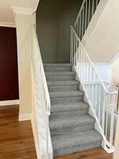 24 Sutter Ave Property Photo 16