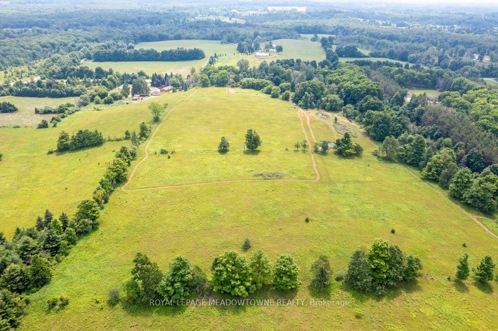 5595 25 Side Road Property Photo 37