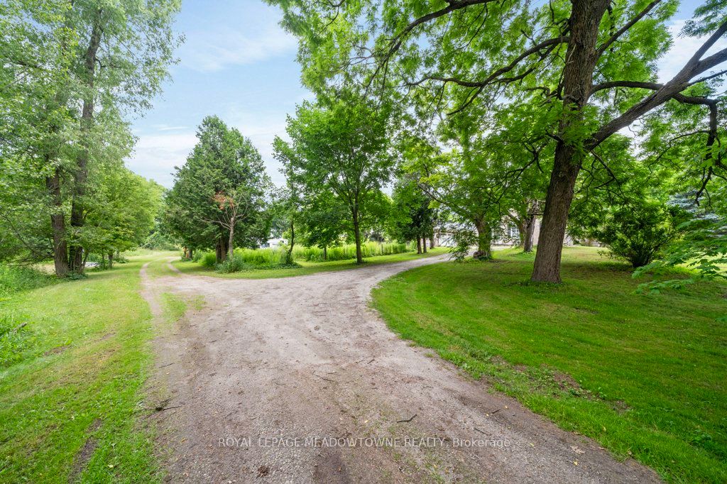 5595 25 Side Road Property Photo 42