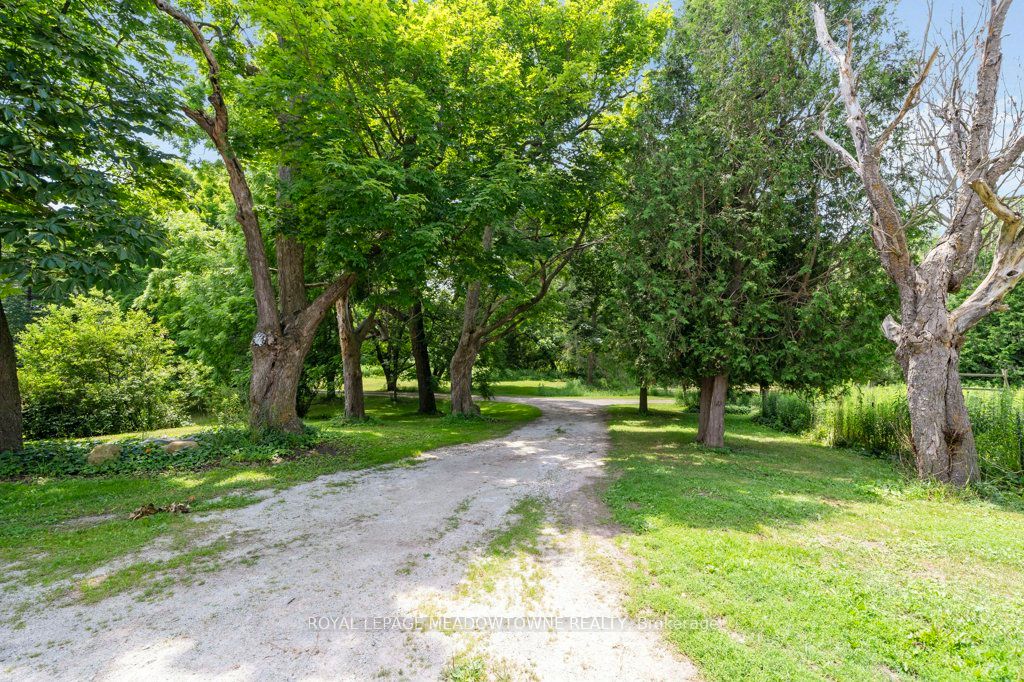 5595 25 Side Road Property Photo 43